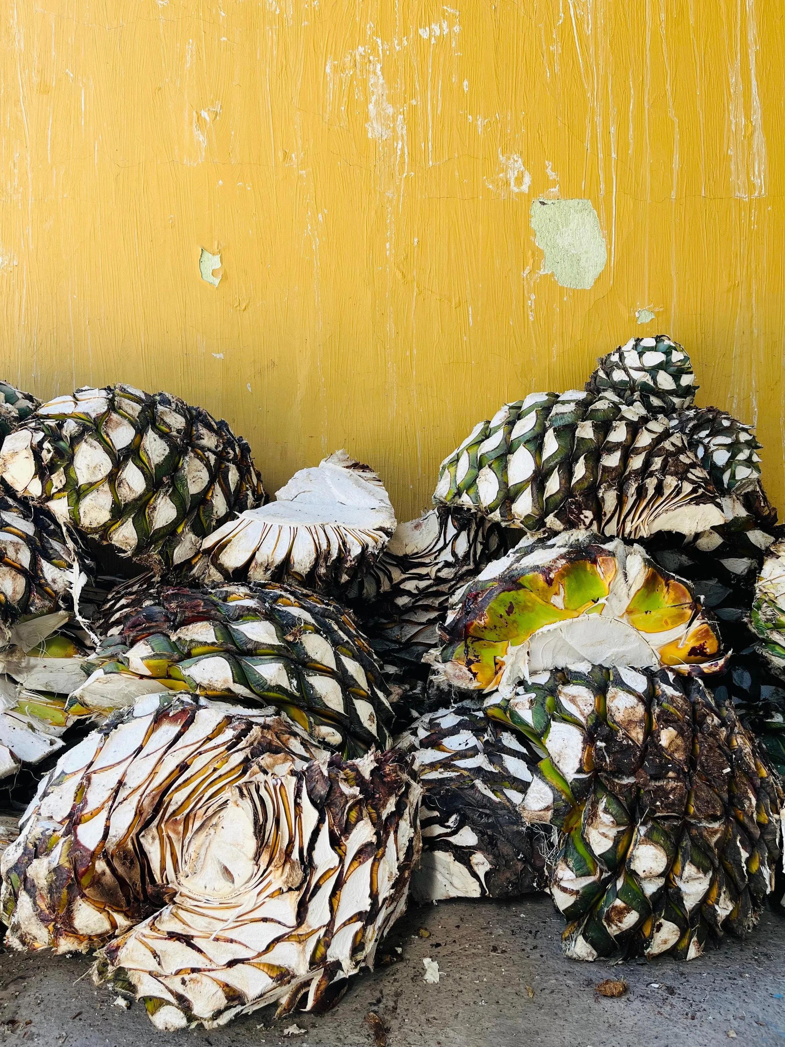 WhatsApp Image 2026-01-12 at 13.00.36 (3).jpeg