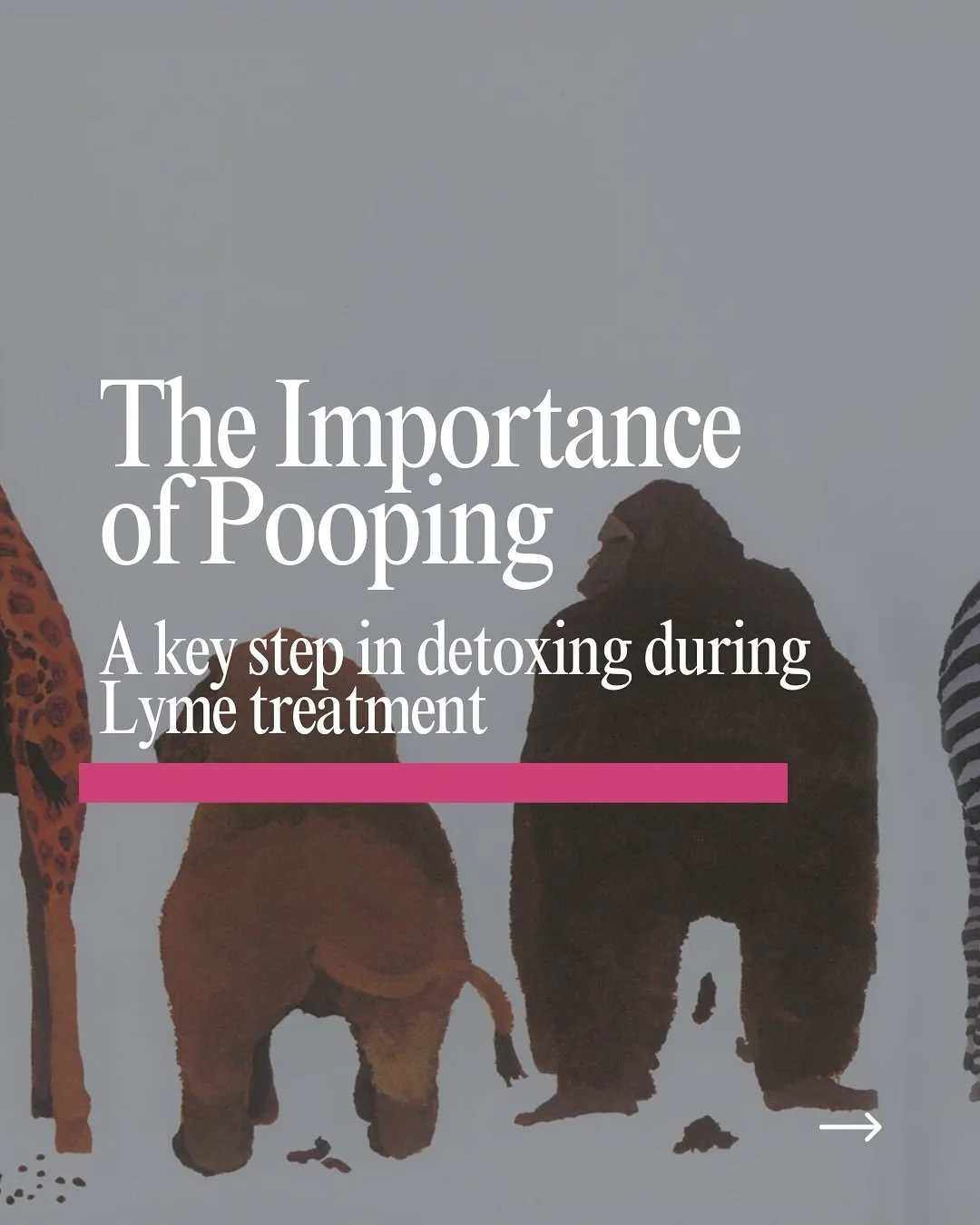 Let&rsquo;s talk about something maybe a little uncomfy&hellip; pooping.

When you&rsquo;re in Lyme treatment, your body is flooded with toxins from bacteria die-off (Herx reactions). If you&rsquo;re not pooping regularly, those toxins stick around l
