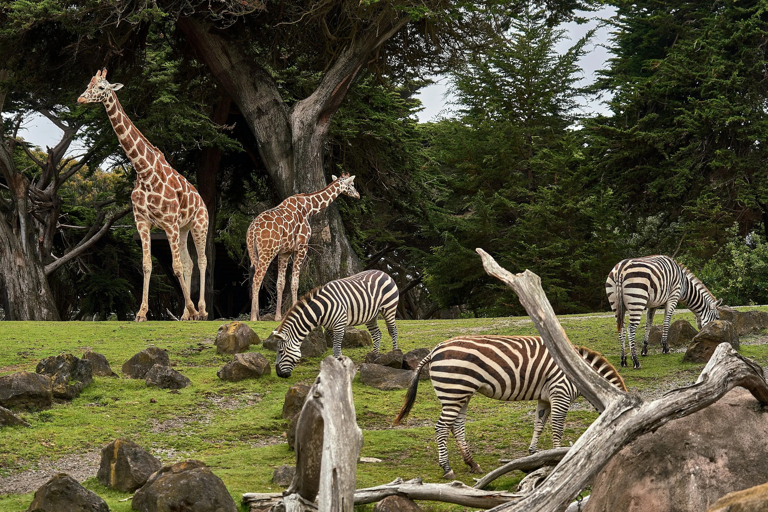 Safeguarding Zoo Assets and Equipment Across Multiple Micro‑Climates
