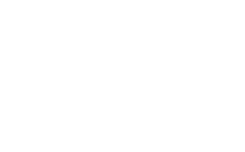 SSP.png