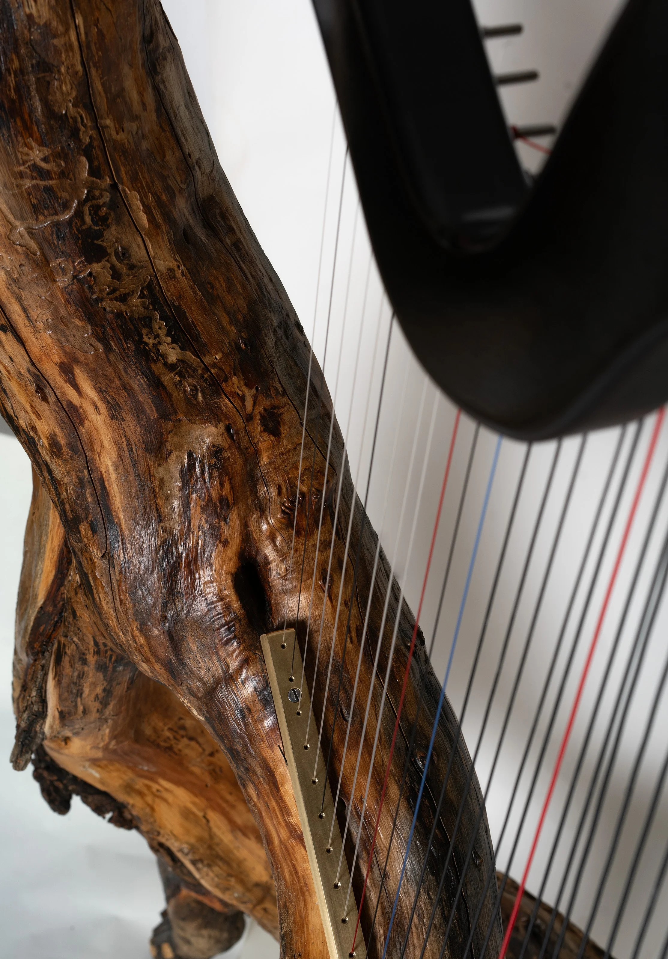 Orfeo the harp details