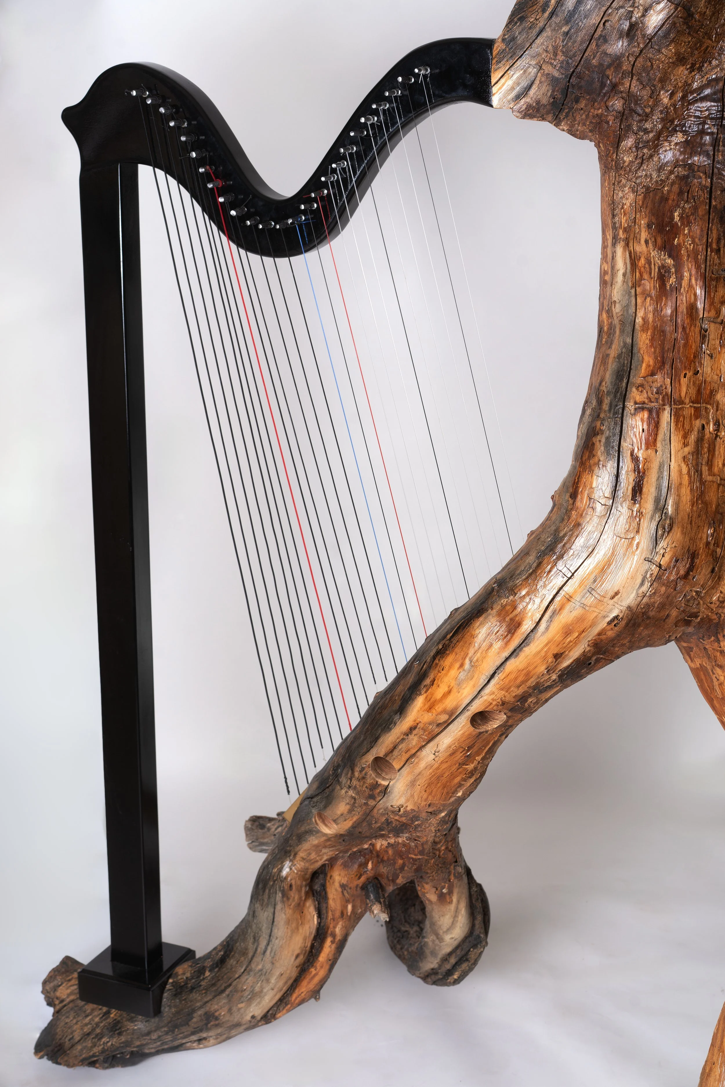 Orfeo the harp chords