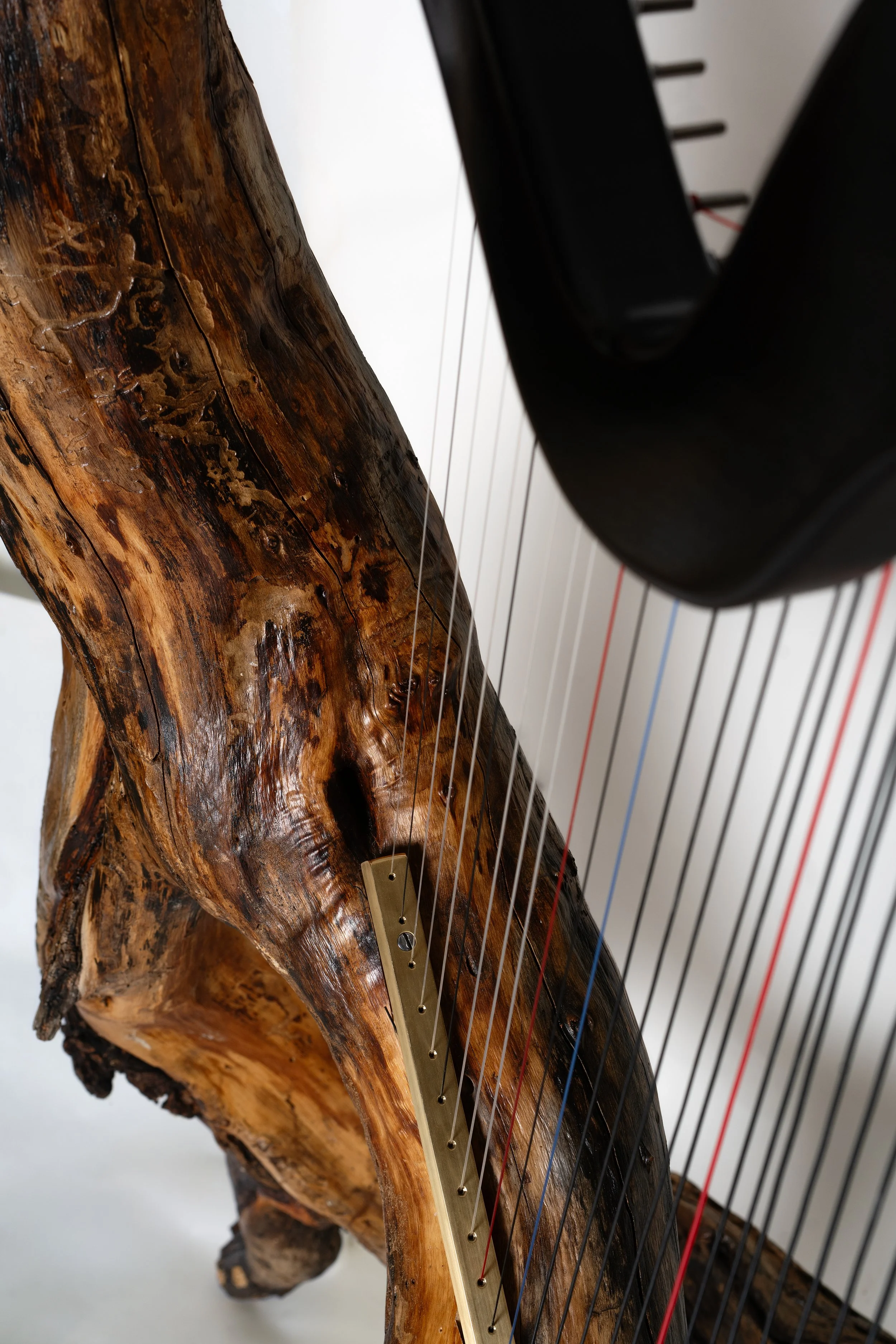 Orfeo the harp made from rescued mezquite wood