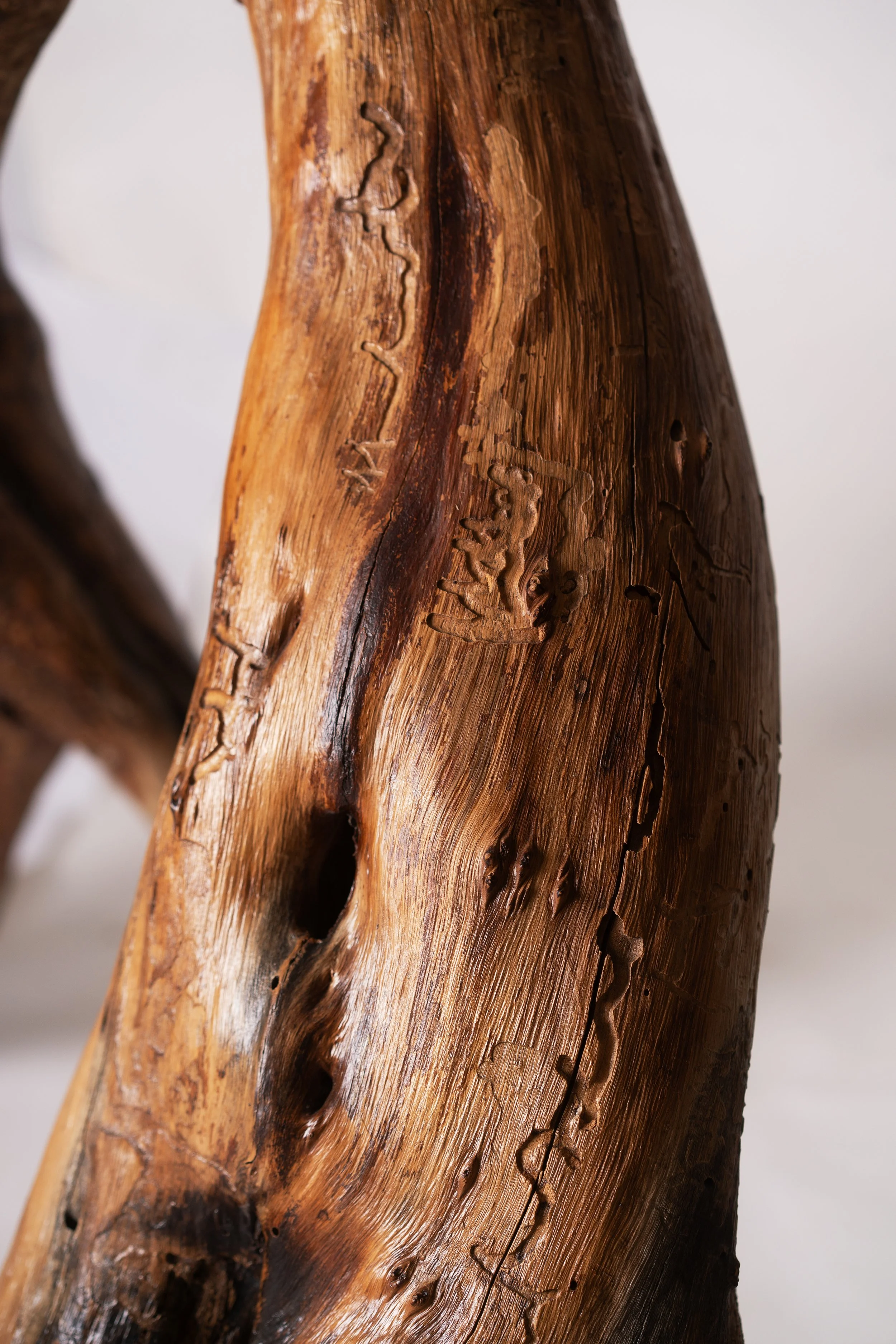 Orfeo textures rescued Mezquite wood