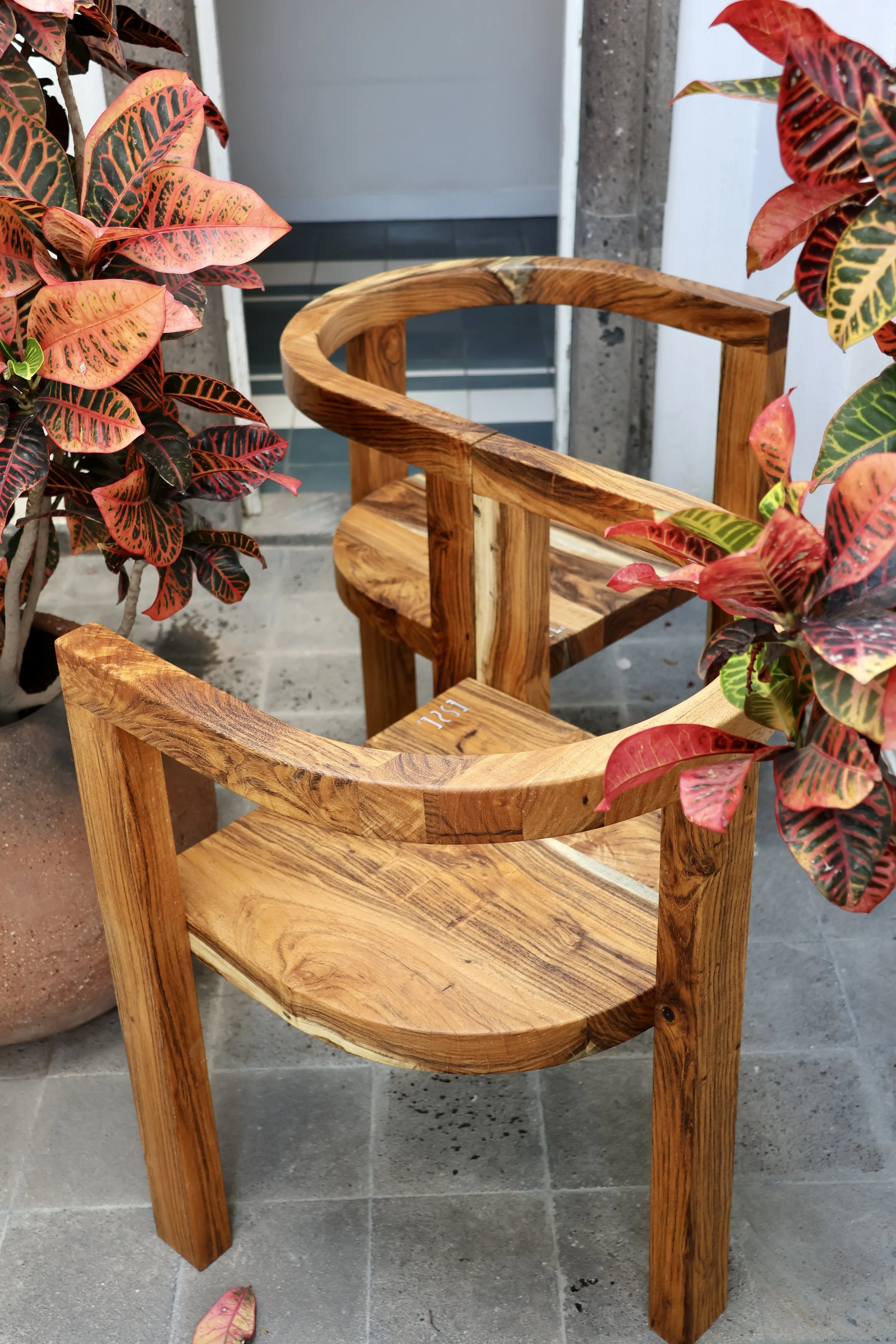 ESSE rescued huaje wood chairs