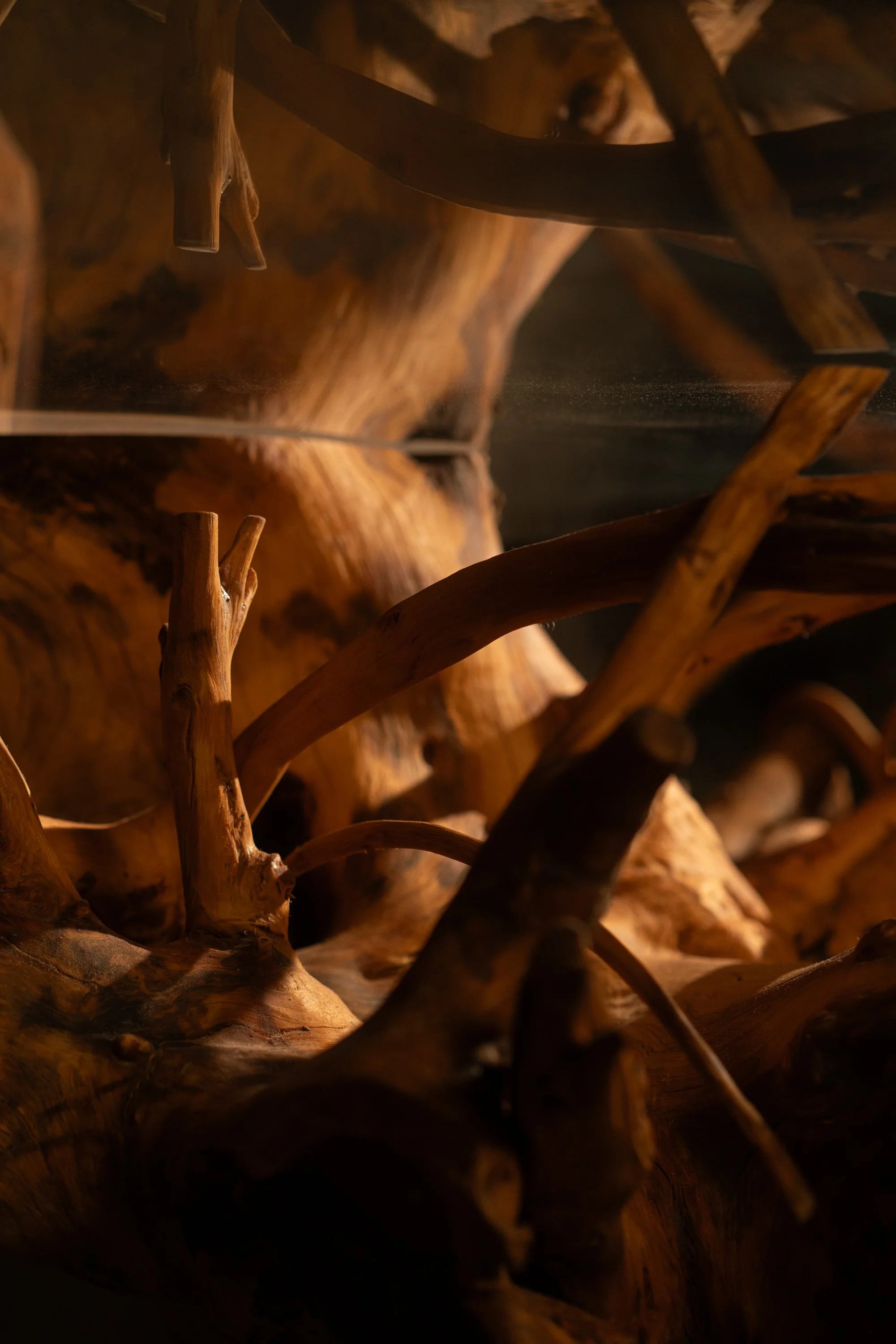 Reflexion Huaje table