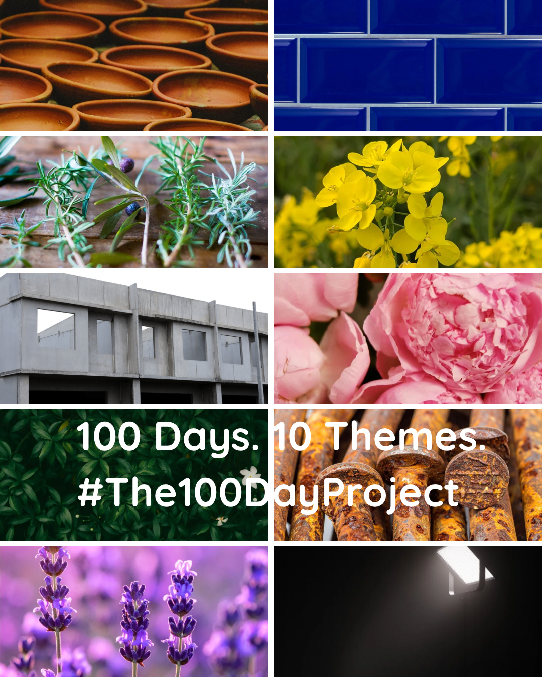 Why The 100 Day Project