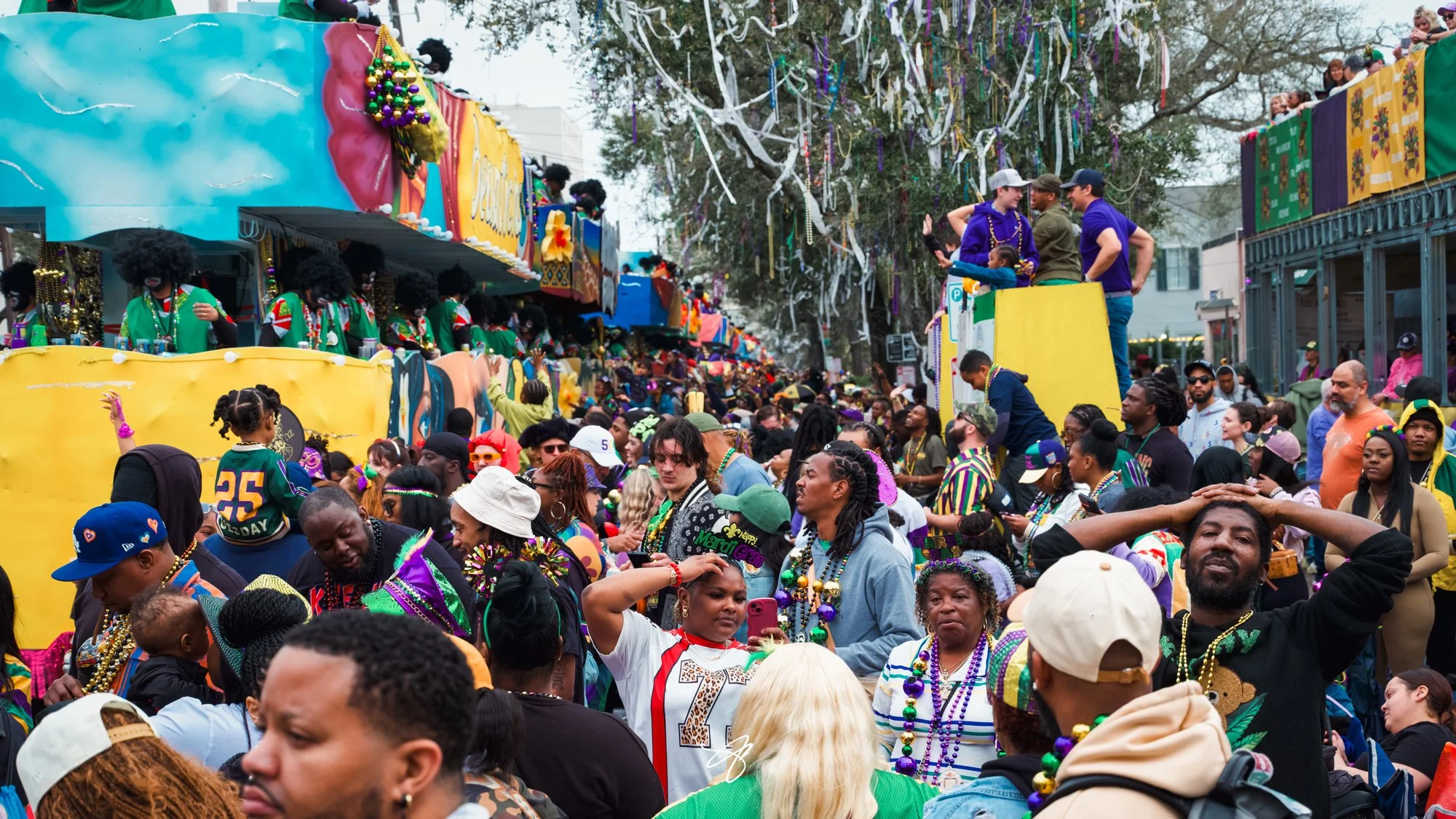 Mardi Gras parade goers at the Krewe of Zulu party on Saint Charles Avenue, New Orleans