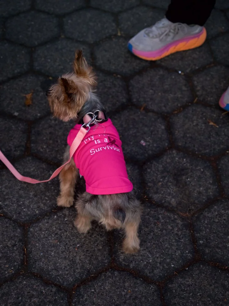 NewYork-CentralPark_MakingStridesAgainstBreastCancer2025-13.jpg