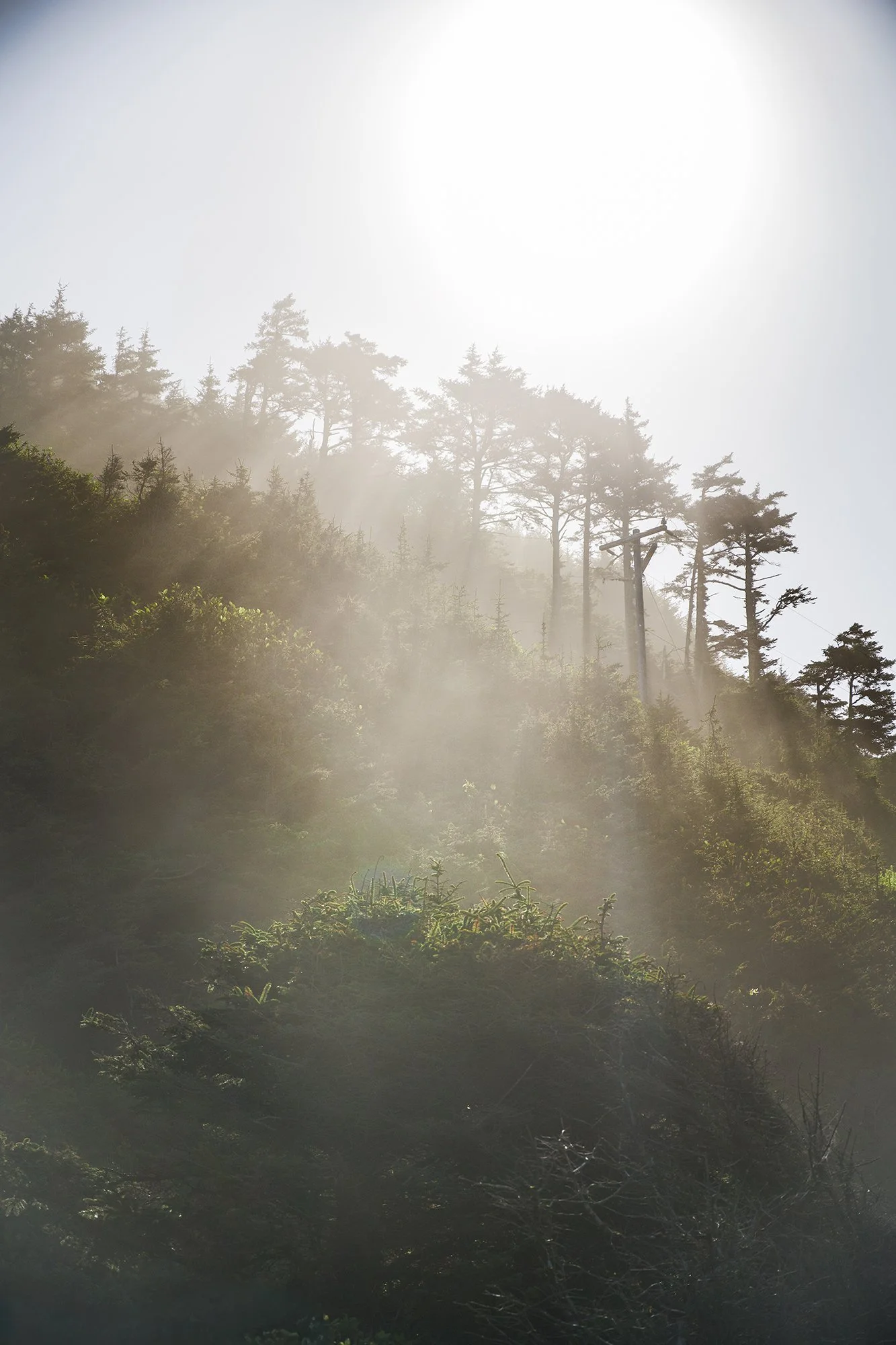 "Burn the Mist"... Oceanside, Oregon — 2024