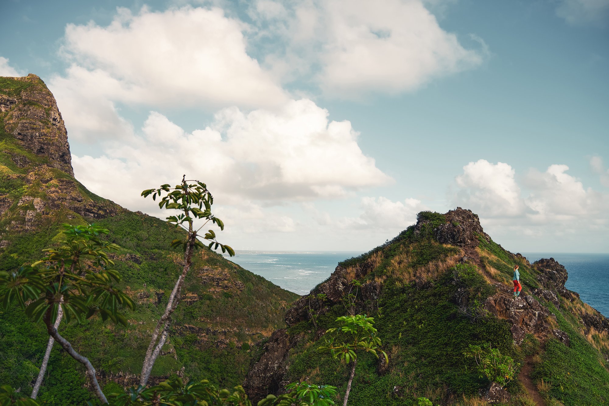Hawaii, Oahu - Crouching Lion Lookout Landscape