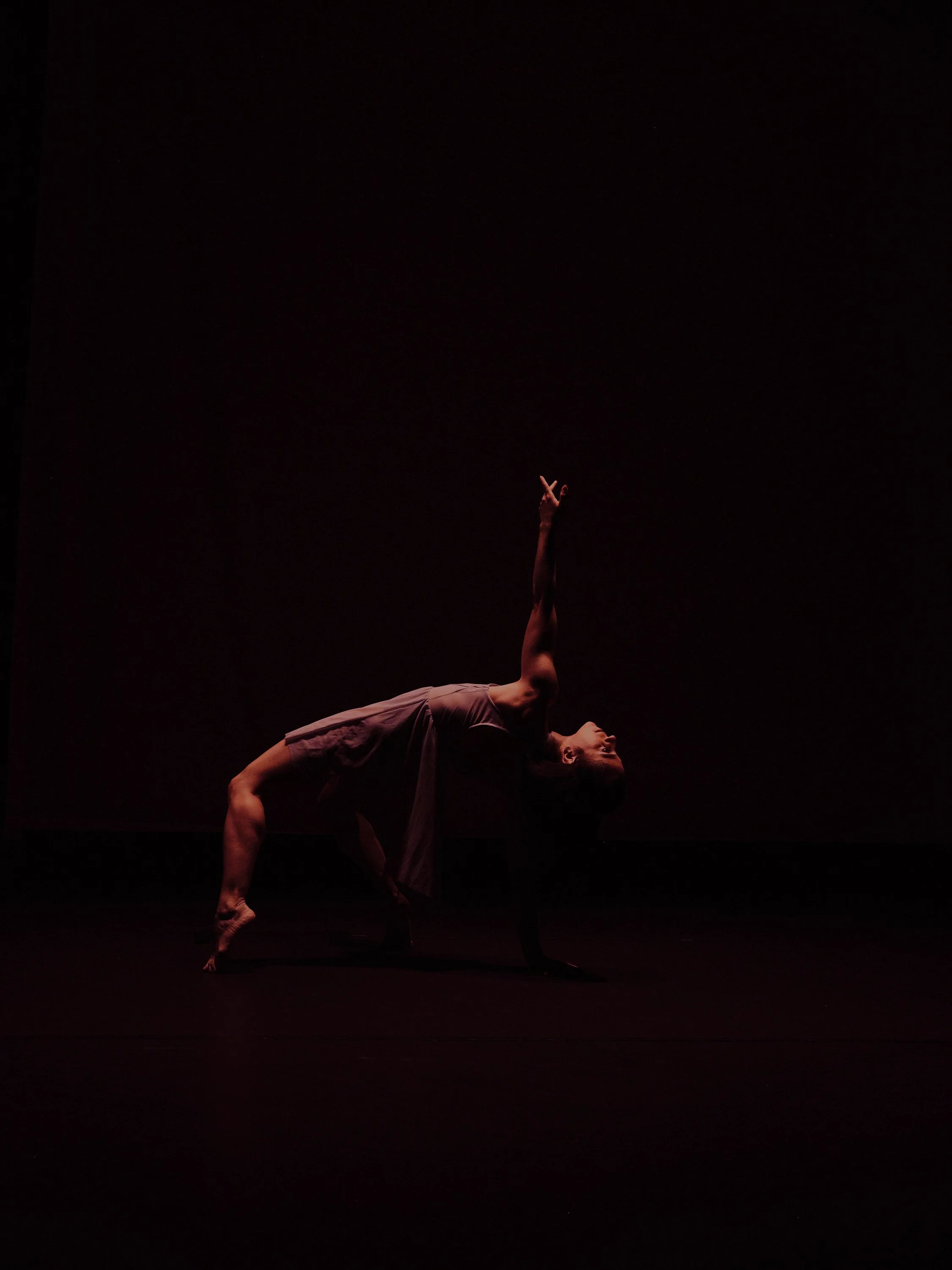 Born Dancing performance at Alvin Ailey