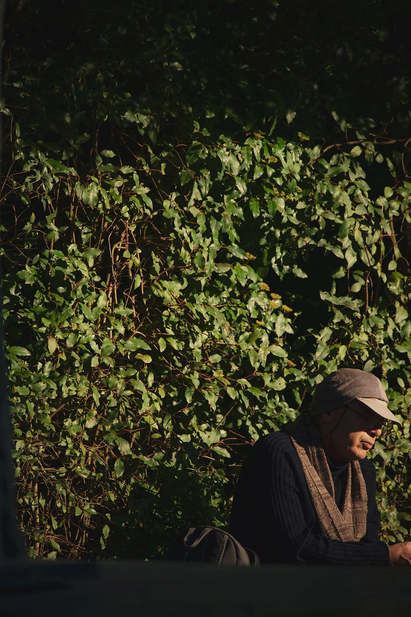 Intimate portrait of a gentleman soaking in the morning sun in the Boboli Gardens