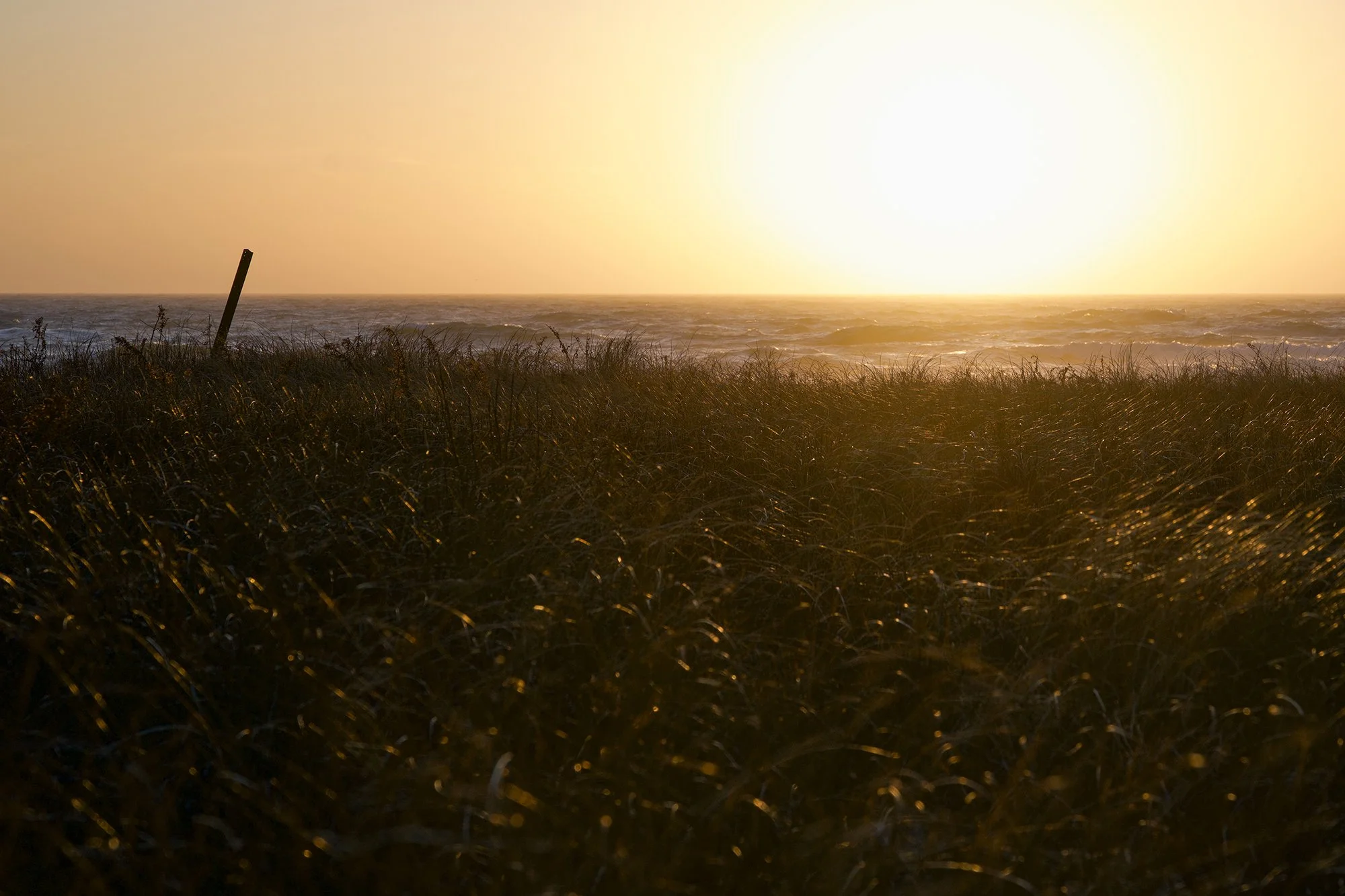 Nantucket, Cisco Beach Field Sunset