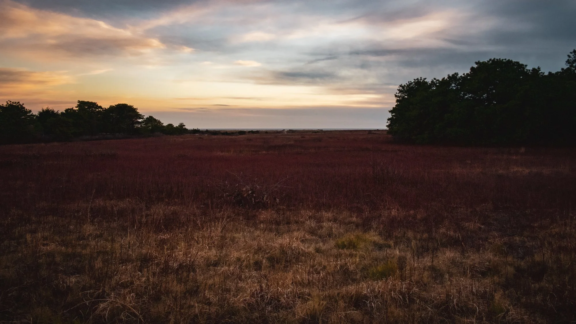 Nantucket_CiscoBeachFieldDusk.jpg