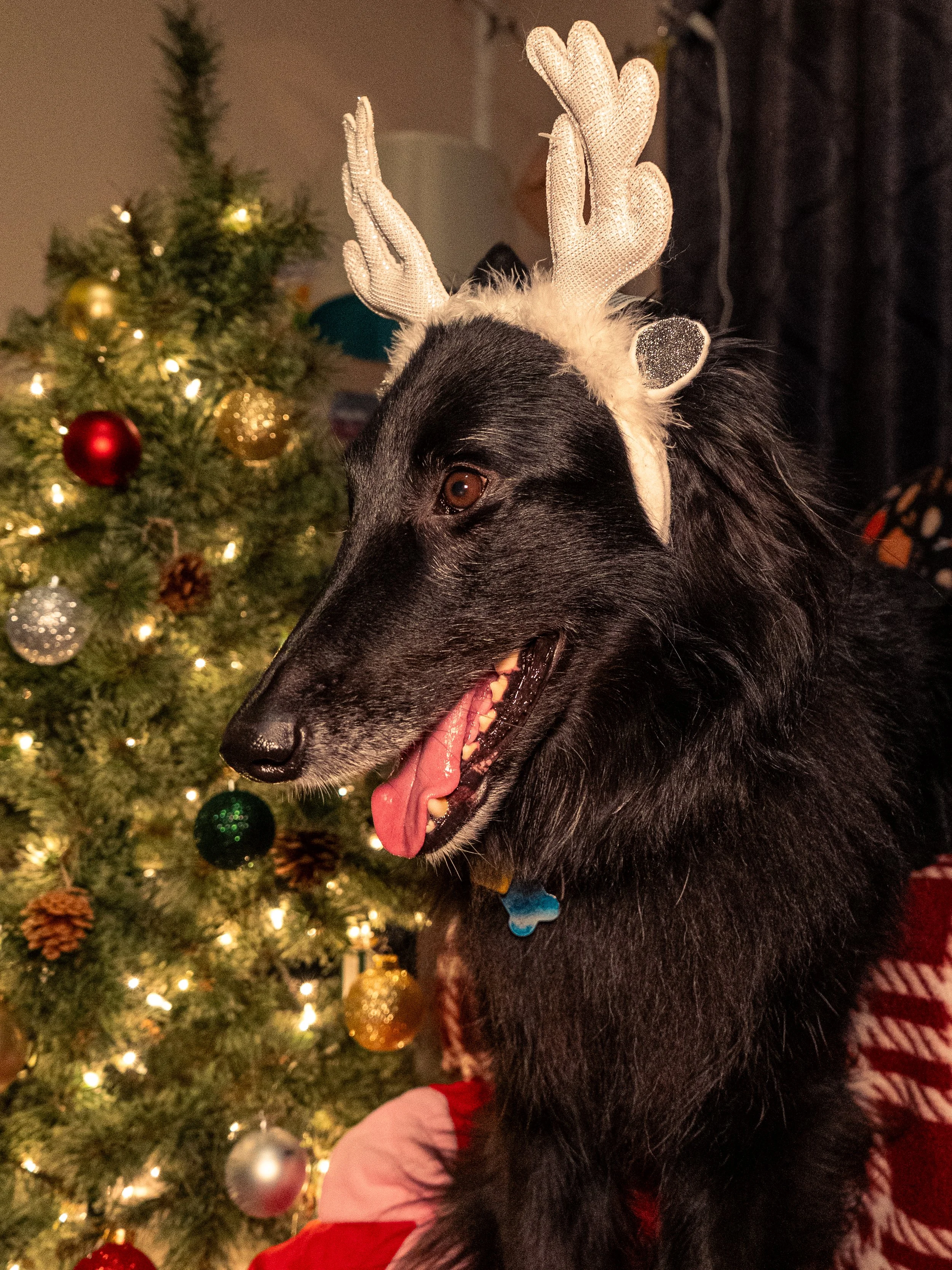 Olivia Cohen ( @Livv.Carter_ )-12.jpeg