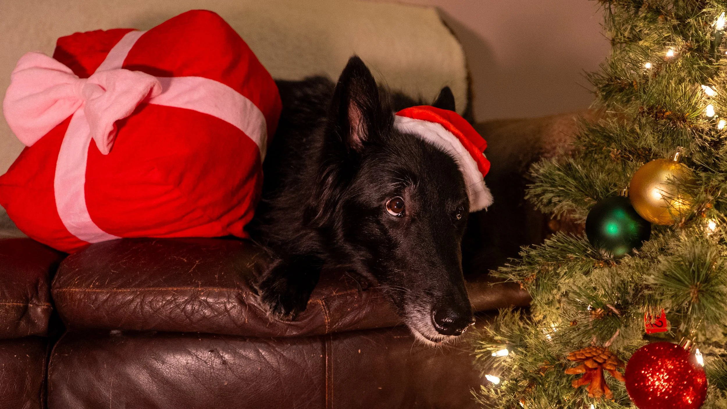 Olivia Cohen ( @Livv.Carter_ )-27.jpeg