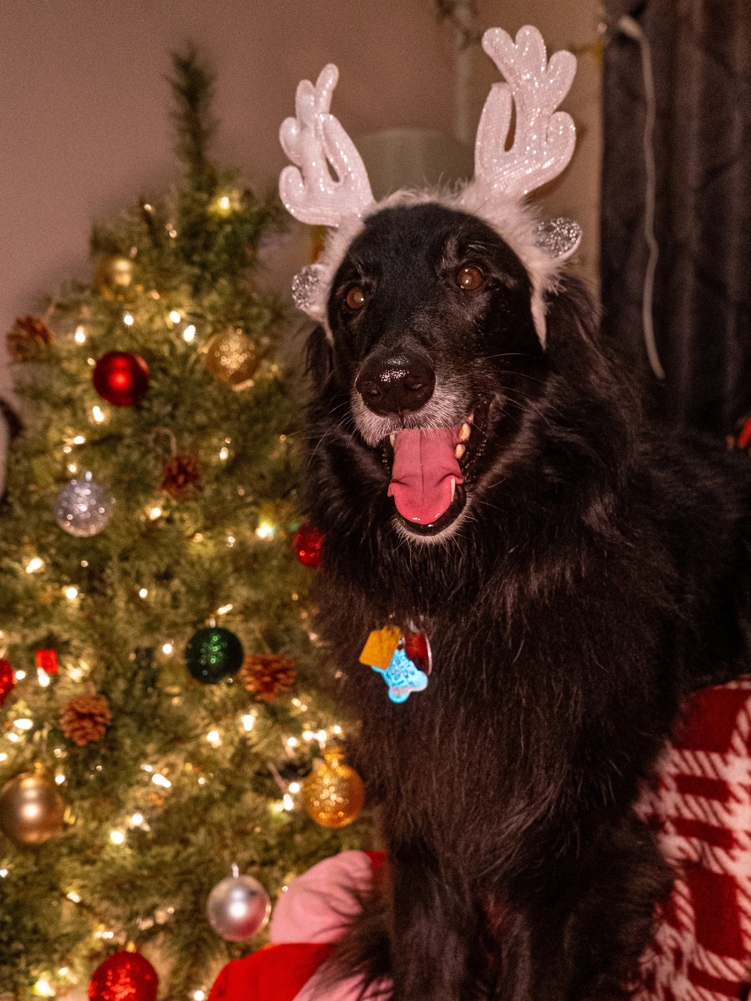 Olivia Cohen ( @Livv.Carter_ )-30.jpeg