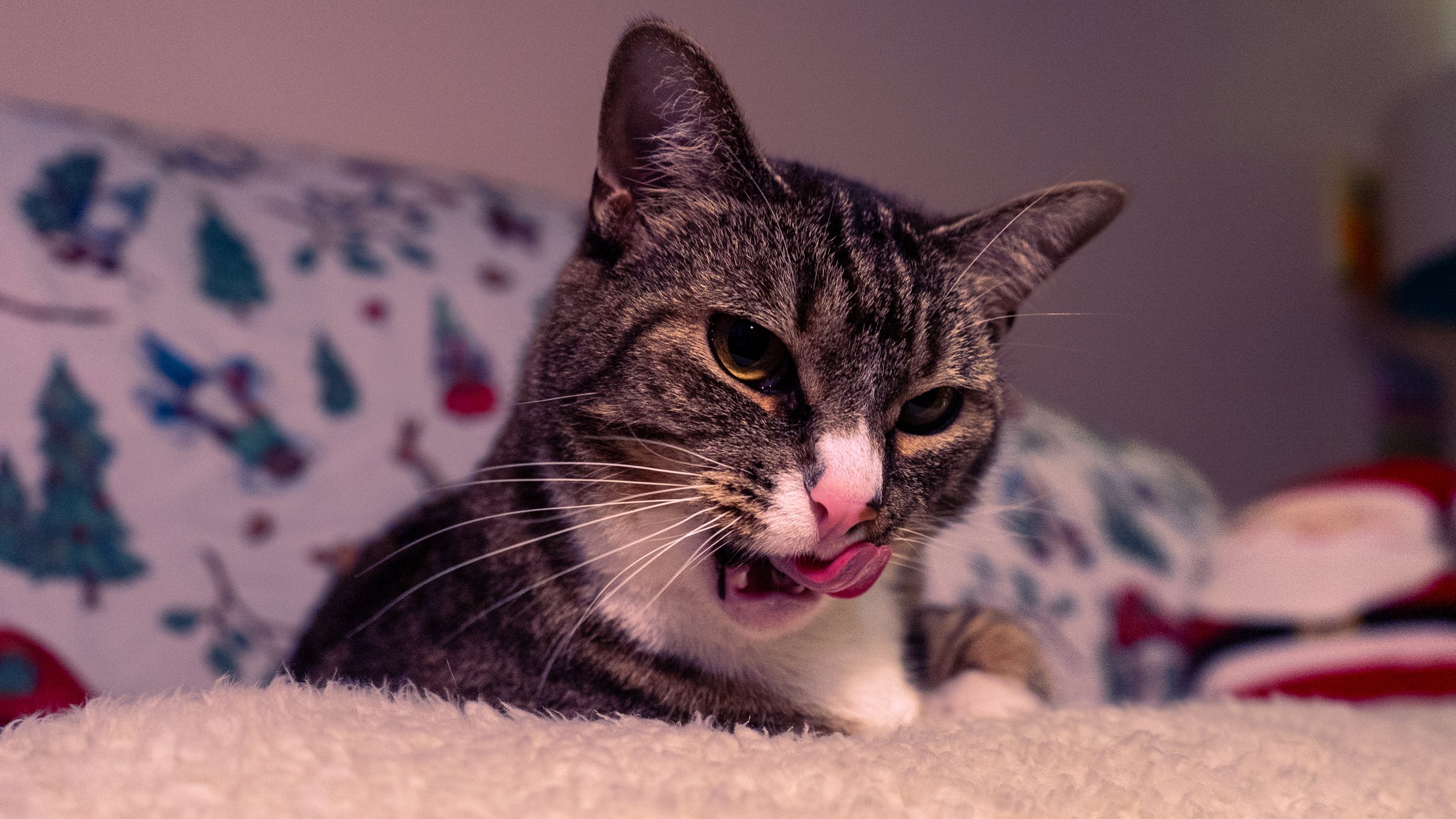 Olivia Cohen ( @Livv.Carter_ )-20.jpeg