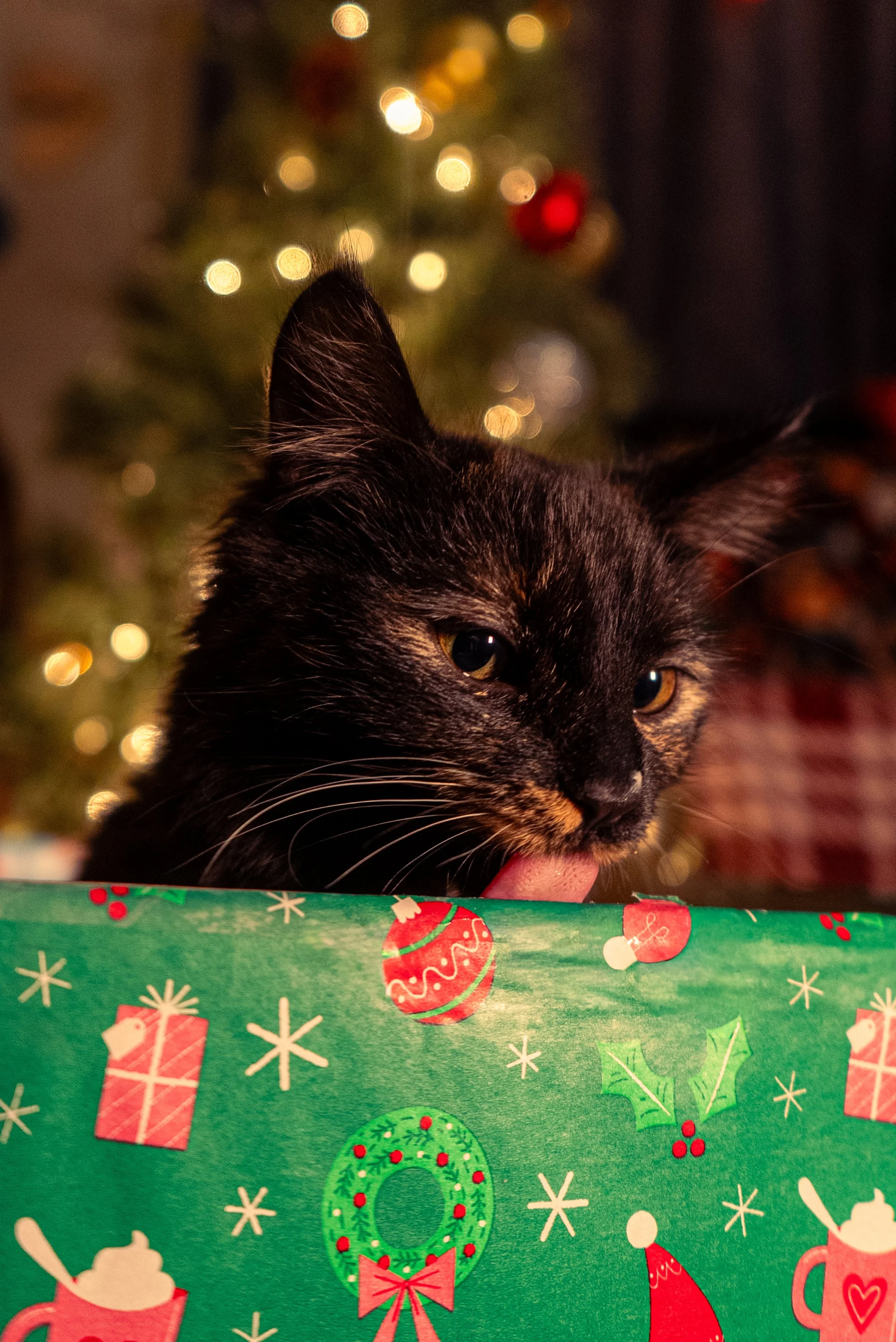 Olivia Cohen ( @Livv.Carter_ )-07.jpeg