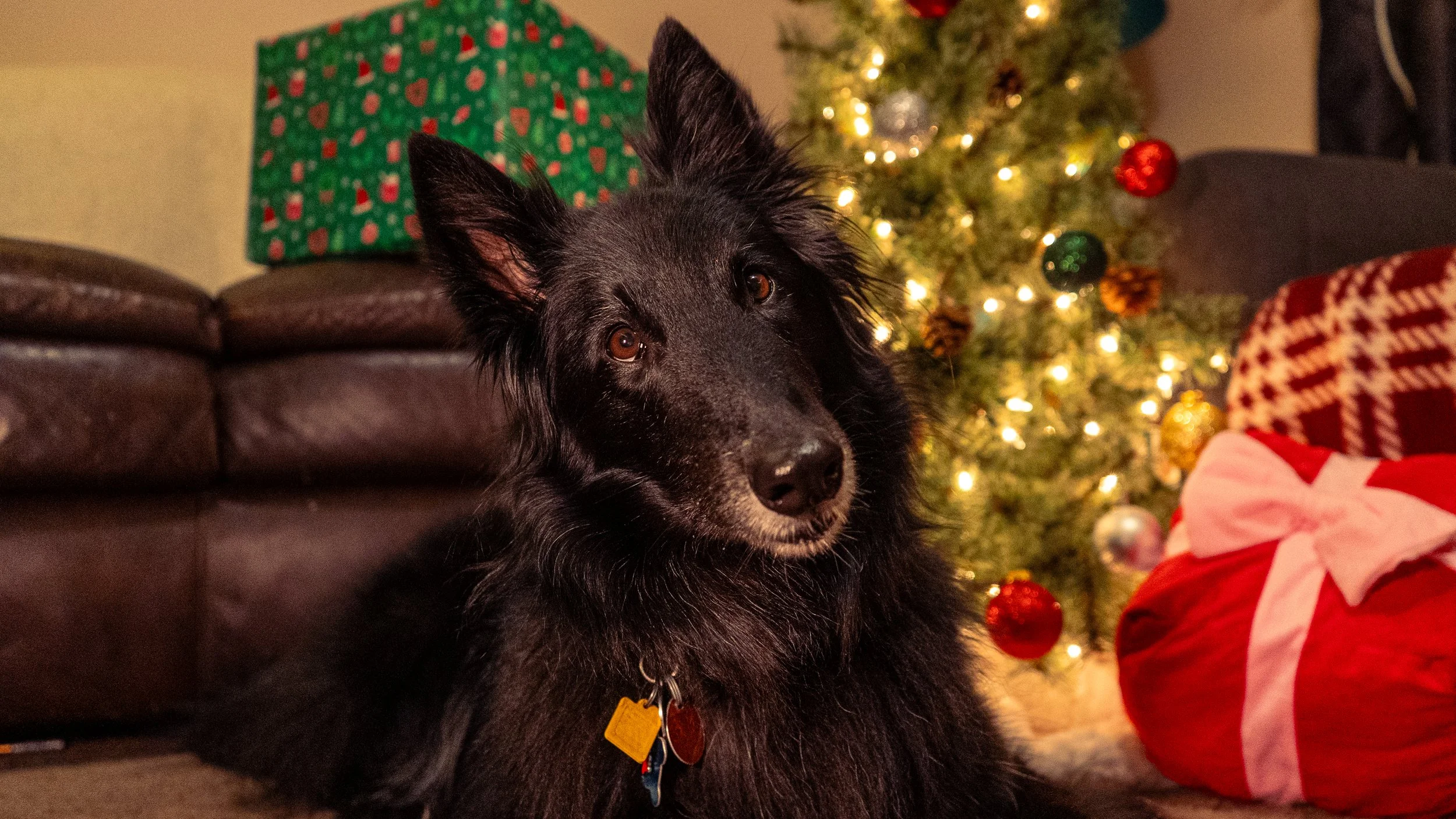 Olivia Cohen ( @Livv.Carter_ )-34.jpeg