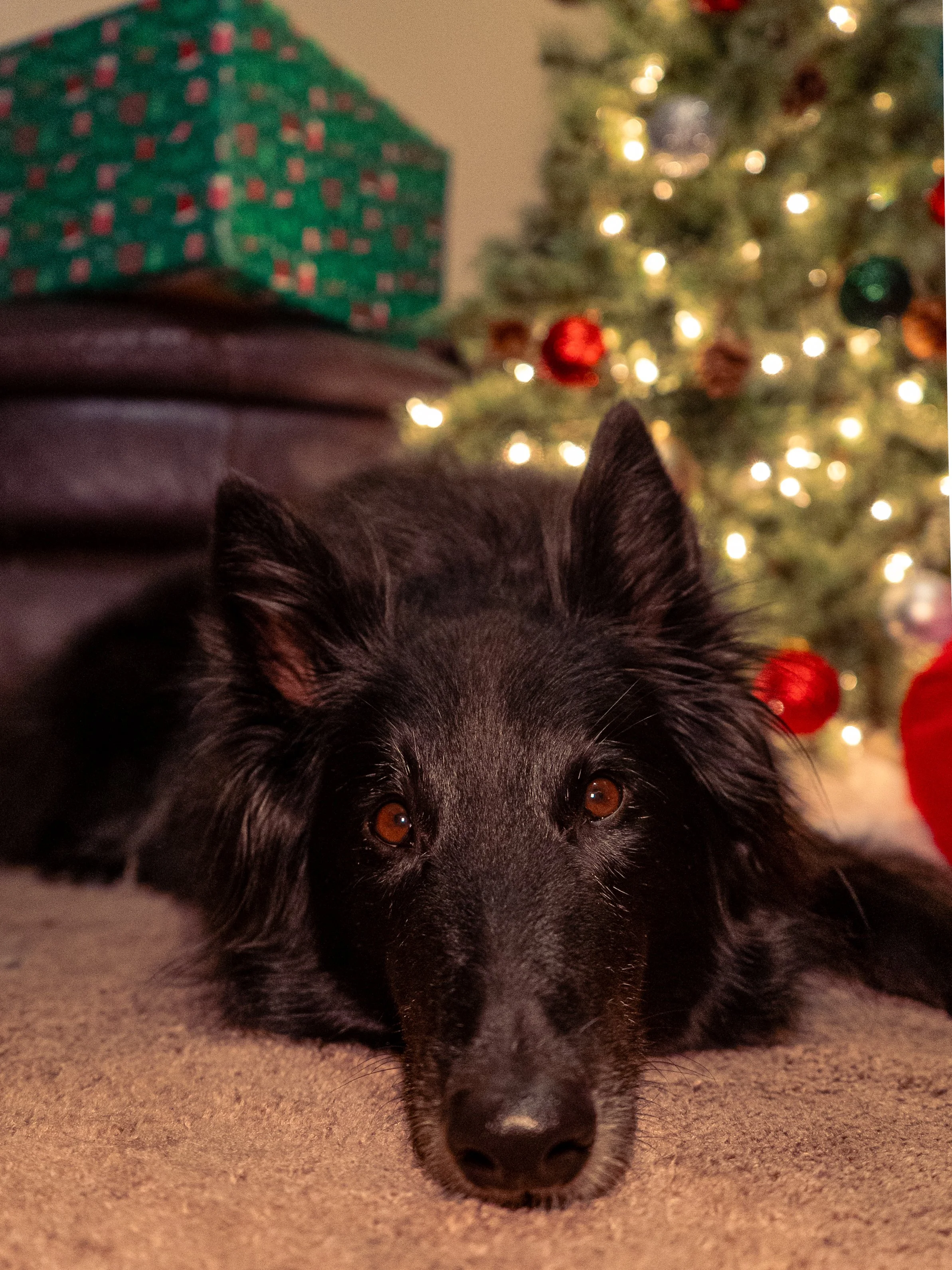 Olivia Cohen ( @Livv.Carter_ )-13.jpeg