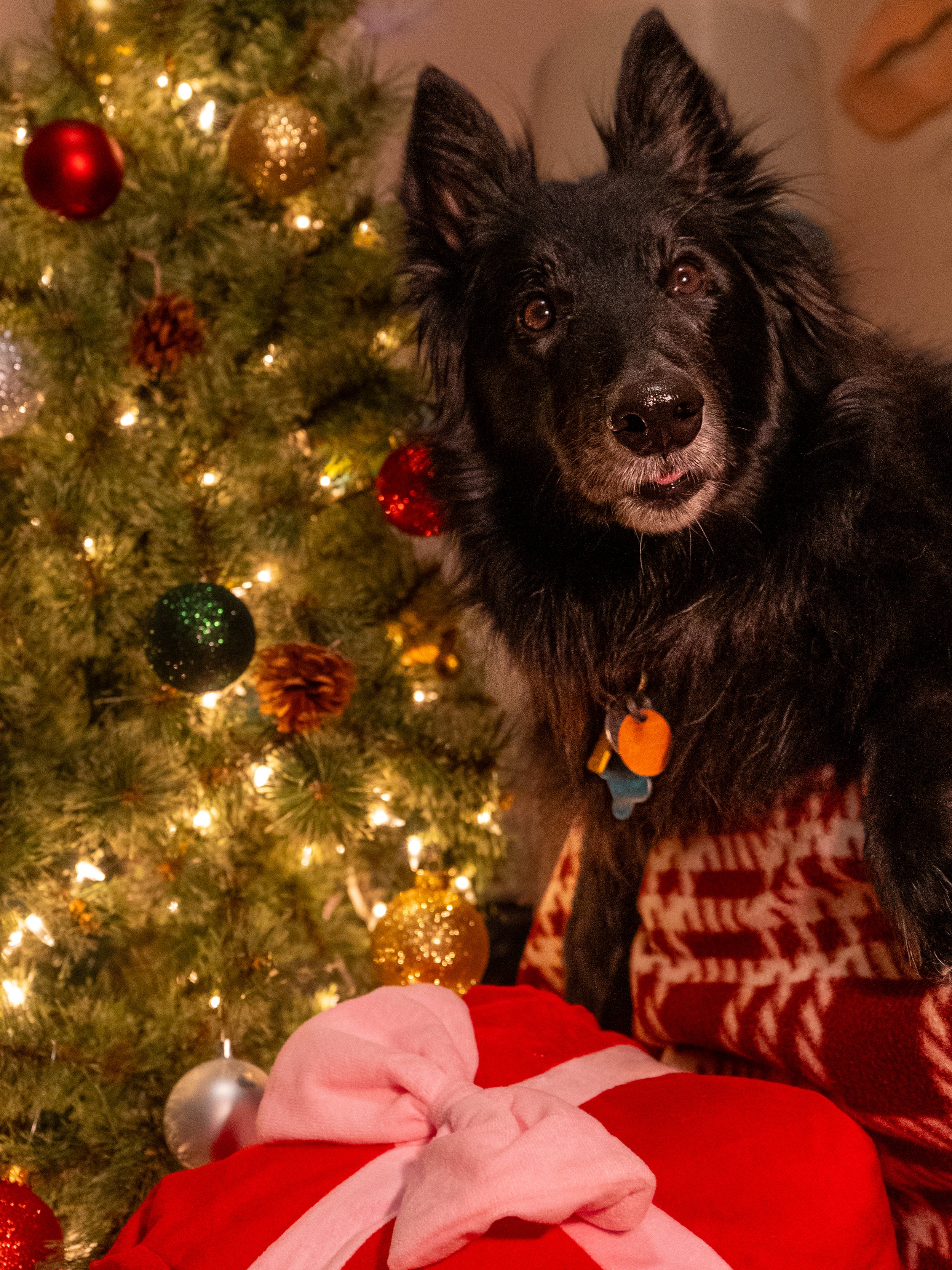 Olivia Cohen ( @Livv.Carter_ )-32.jpeg