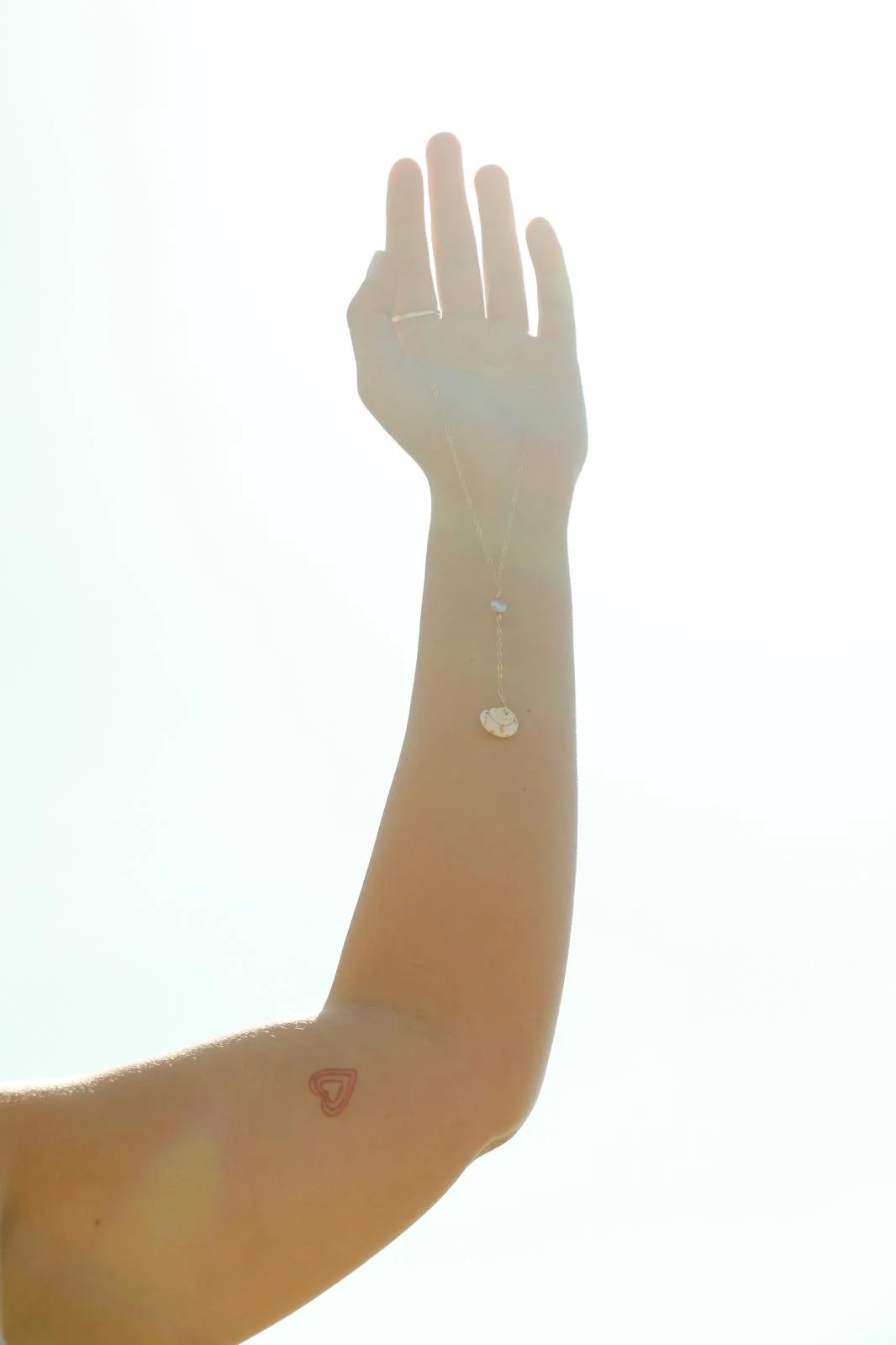 WhatsApp Image 2026-02-25 at 09.41.46.jpeg