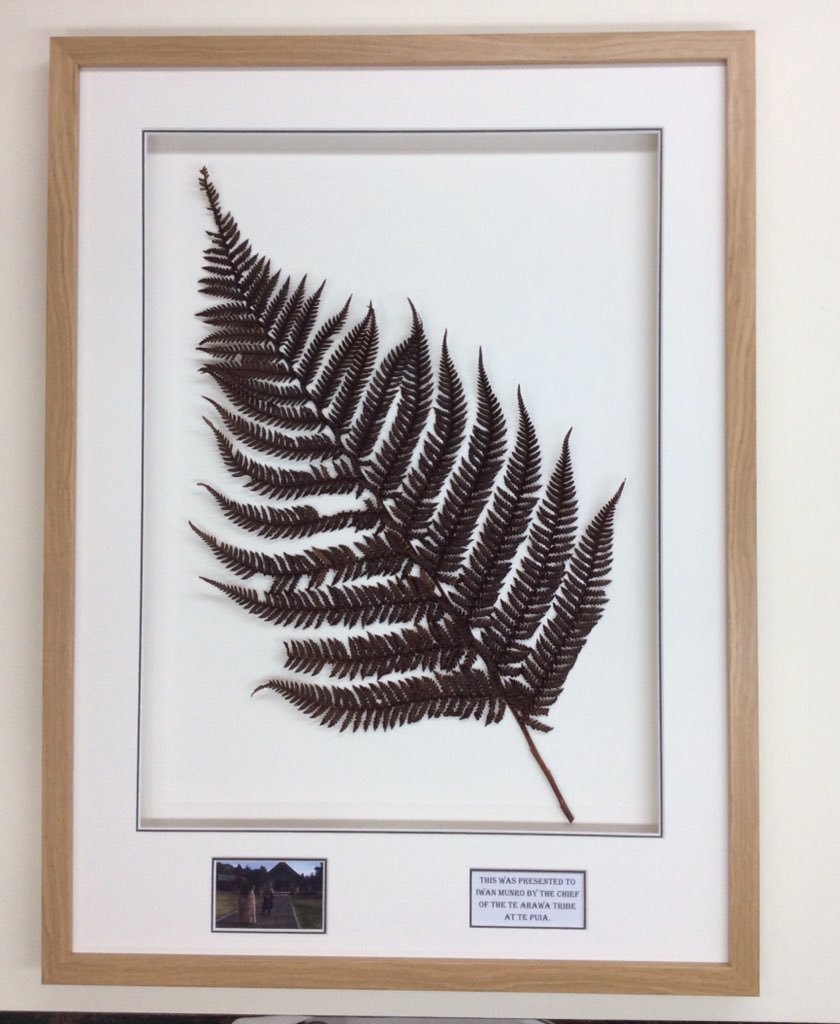 Framed display of a preserved fern leaf with a small photograph and a plaque underneath.
