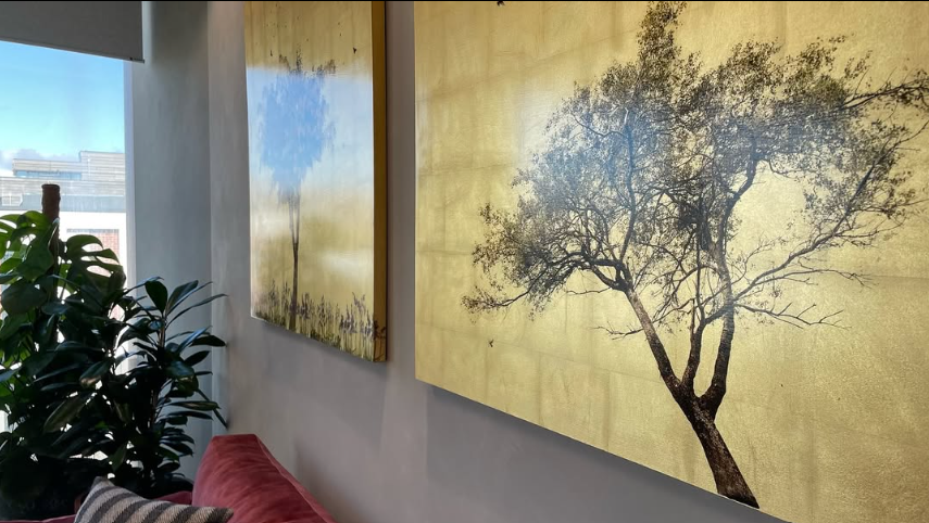 Interior view of a room with two large landscape paintings of trees on the wall, a green plant near the window, and a red couch with a striped pillow.