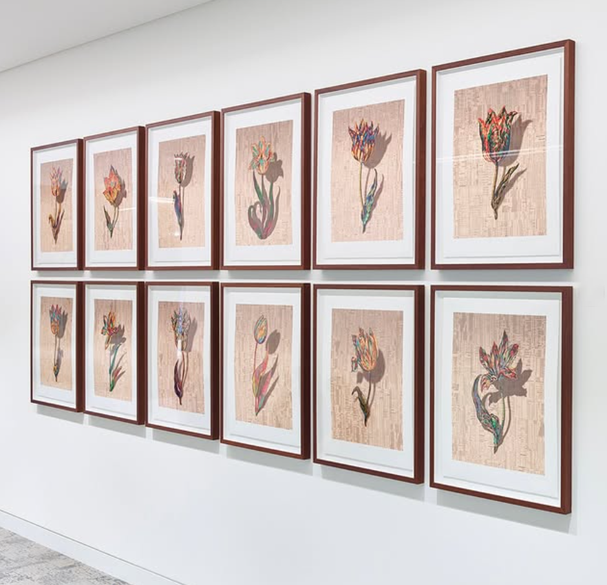 A gallery wall displaying twelve framed botanical art prints of flowers, each featuring a different colorful flower illustration with a beige background and white matting, framed in brown.