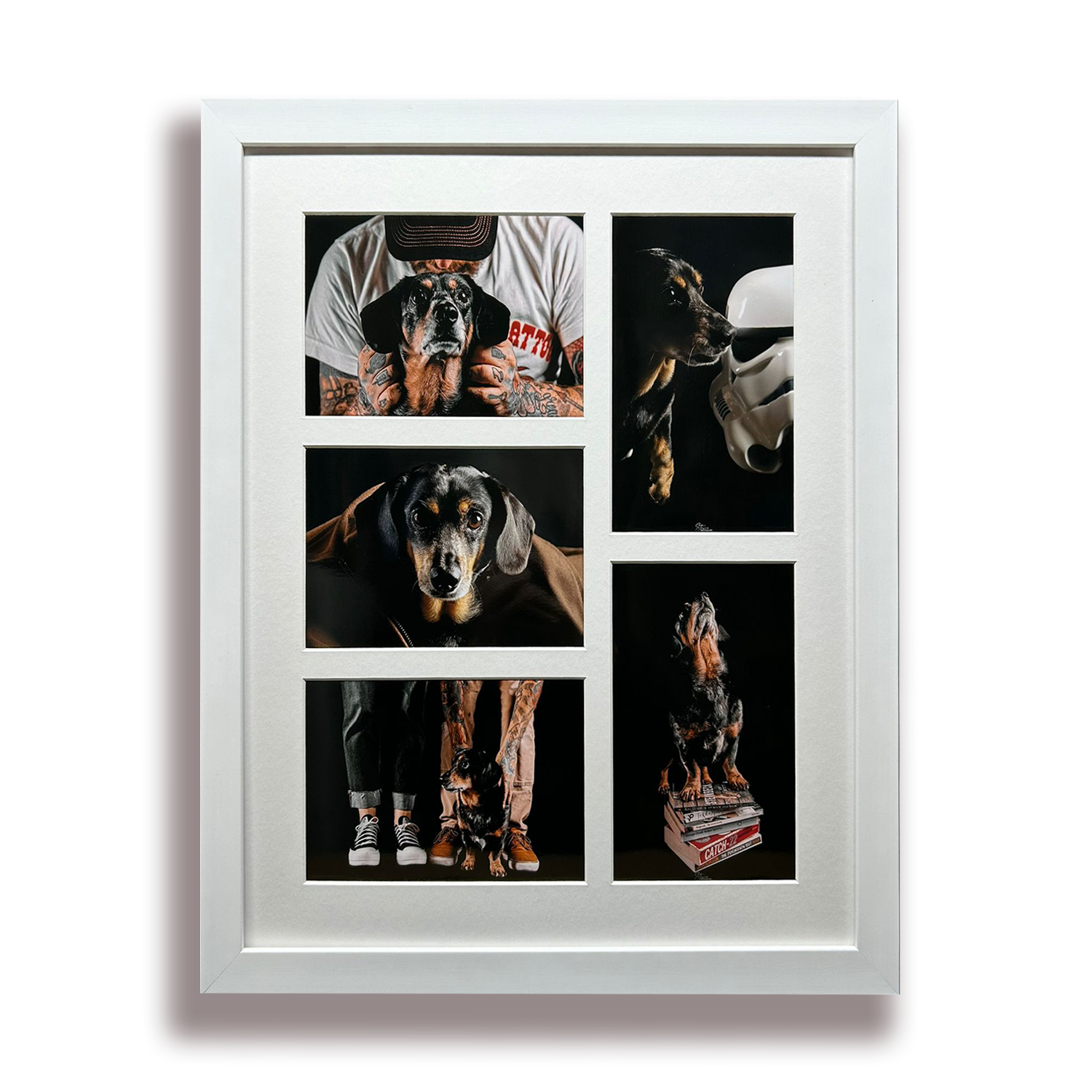 Collage of five photographs of a black and tan dog, set in a white frame. The photos include the dog with a person with tattoos, a stormtrooper helmet, a close-up of the dog looking at the camera, a dog sitting with two people, and the dog standing on a stack of magazines, barking.