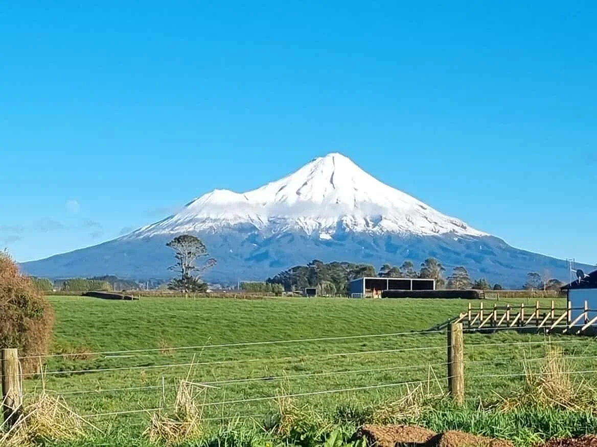 Snow-capped Mount Taranaki in New Zealand under a clear blue sky above green fields and farm buildings.