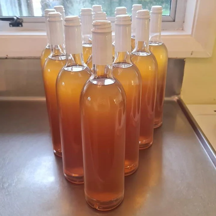 Multiple glass bottles filled with a pinkish beverage, arranged on a metallic surface near a window.