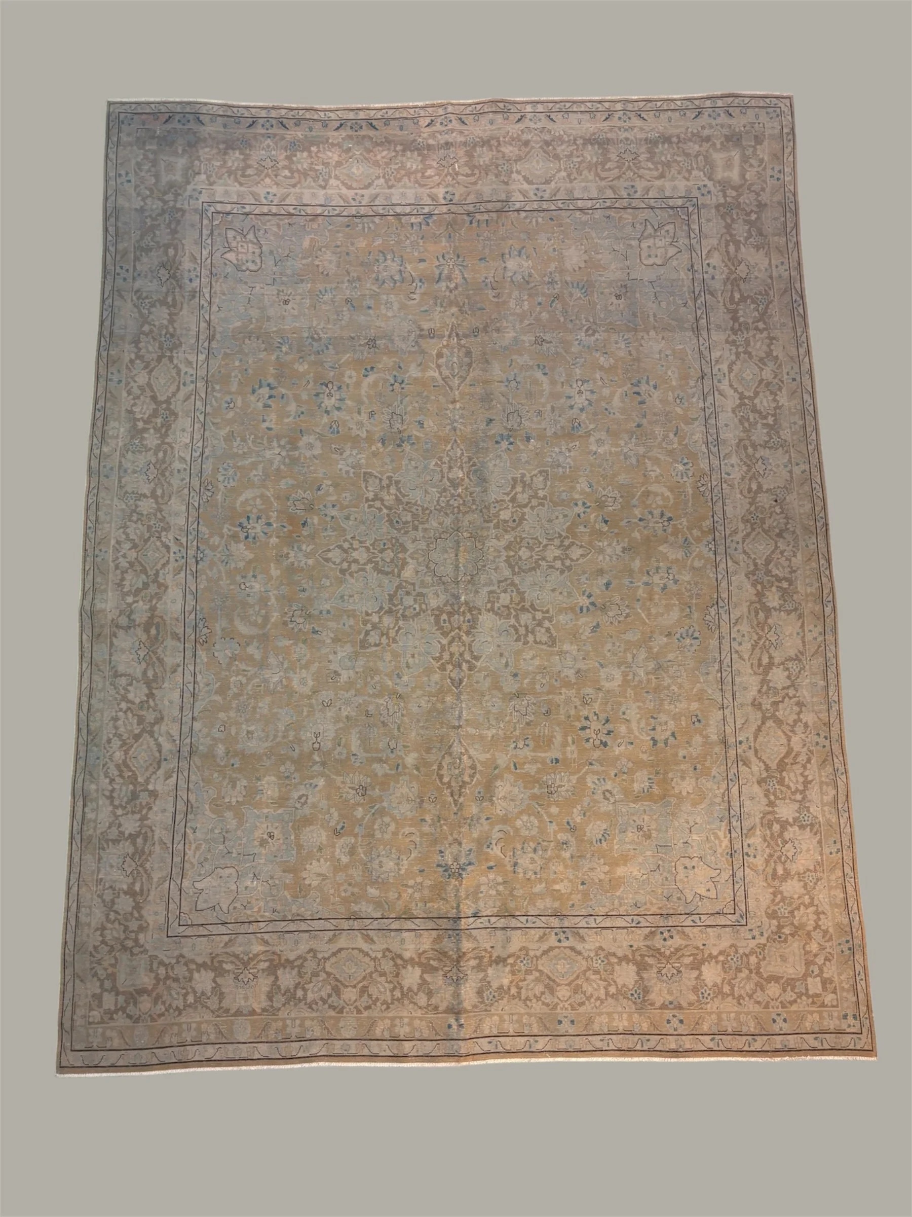 A large, rectangular, vintage-style area rug with intricate floral and geometric patterns in beige, blue, and brown tones.