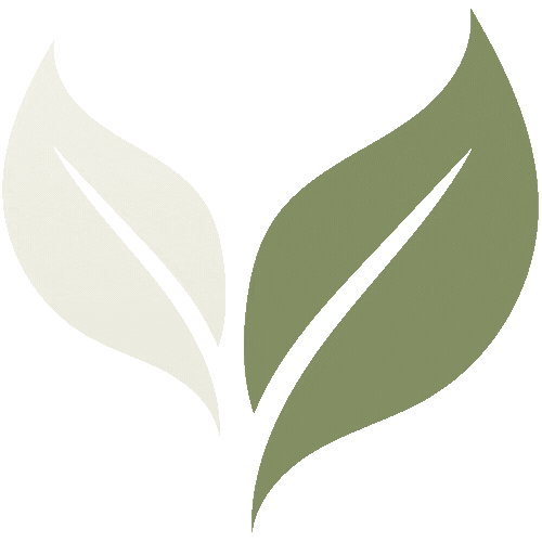 Stylized illustration of green and white leaves.