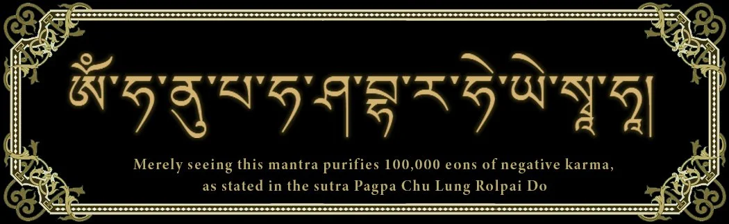 om hanu black update.jpg
