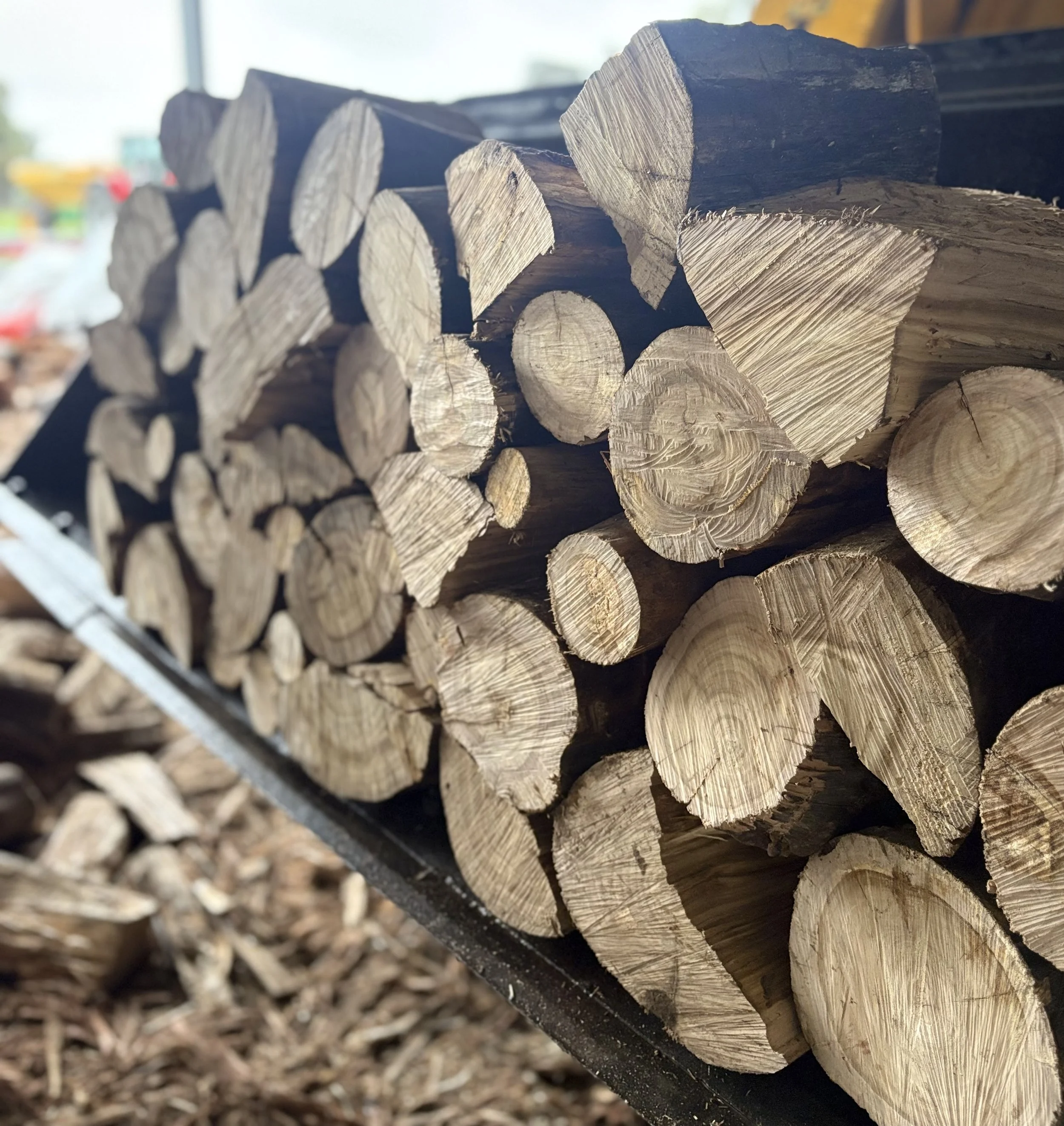 Firewood Sugar Gum, Burning Wood, Scotsburn & Co.