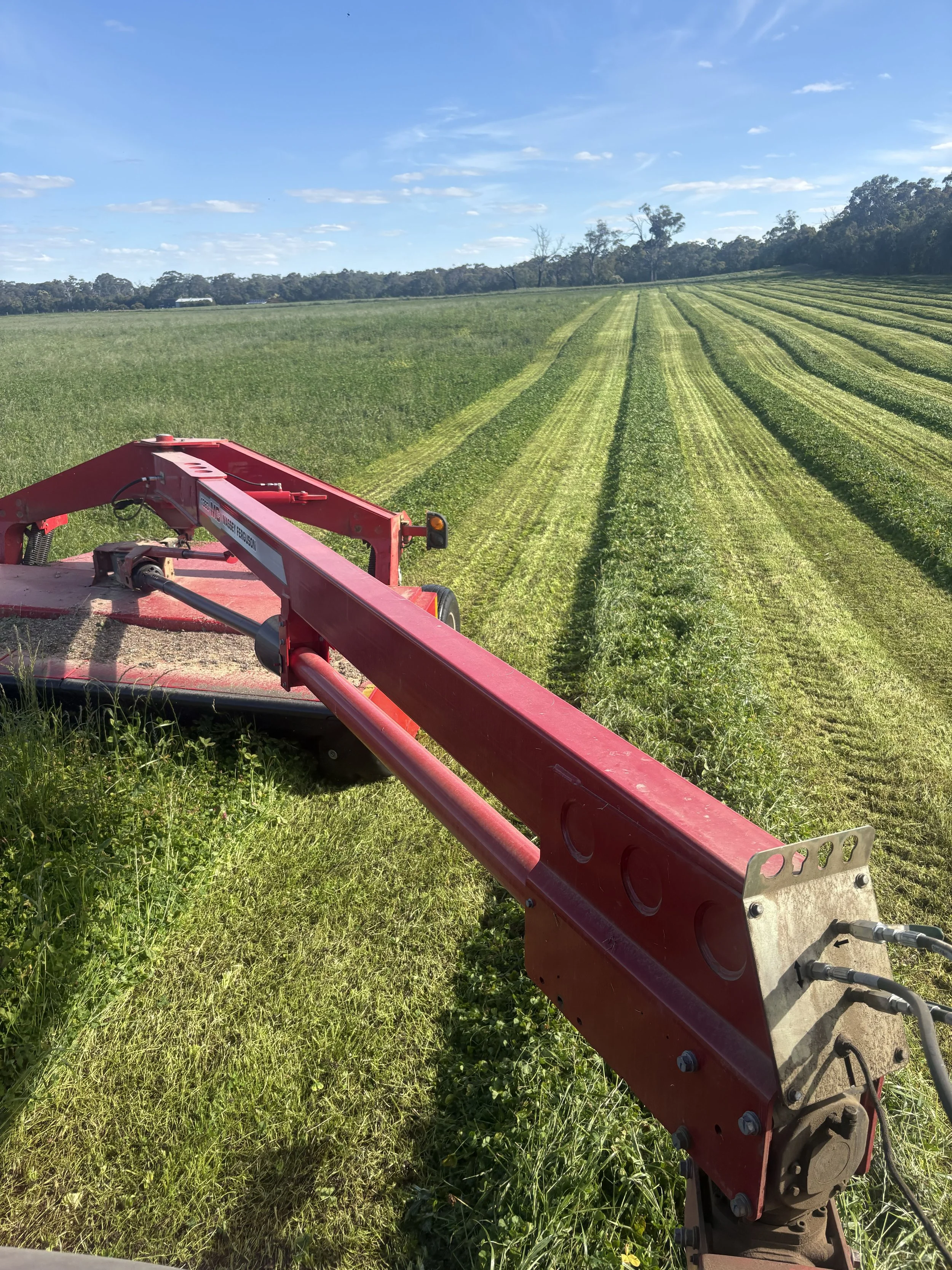 Premium Equine Hay, Scotsburn Co