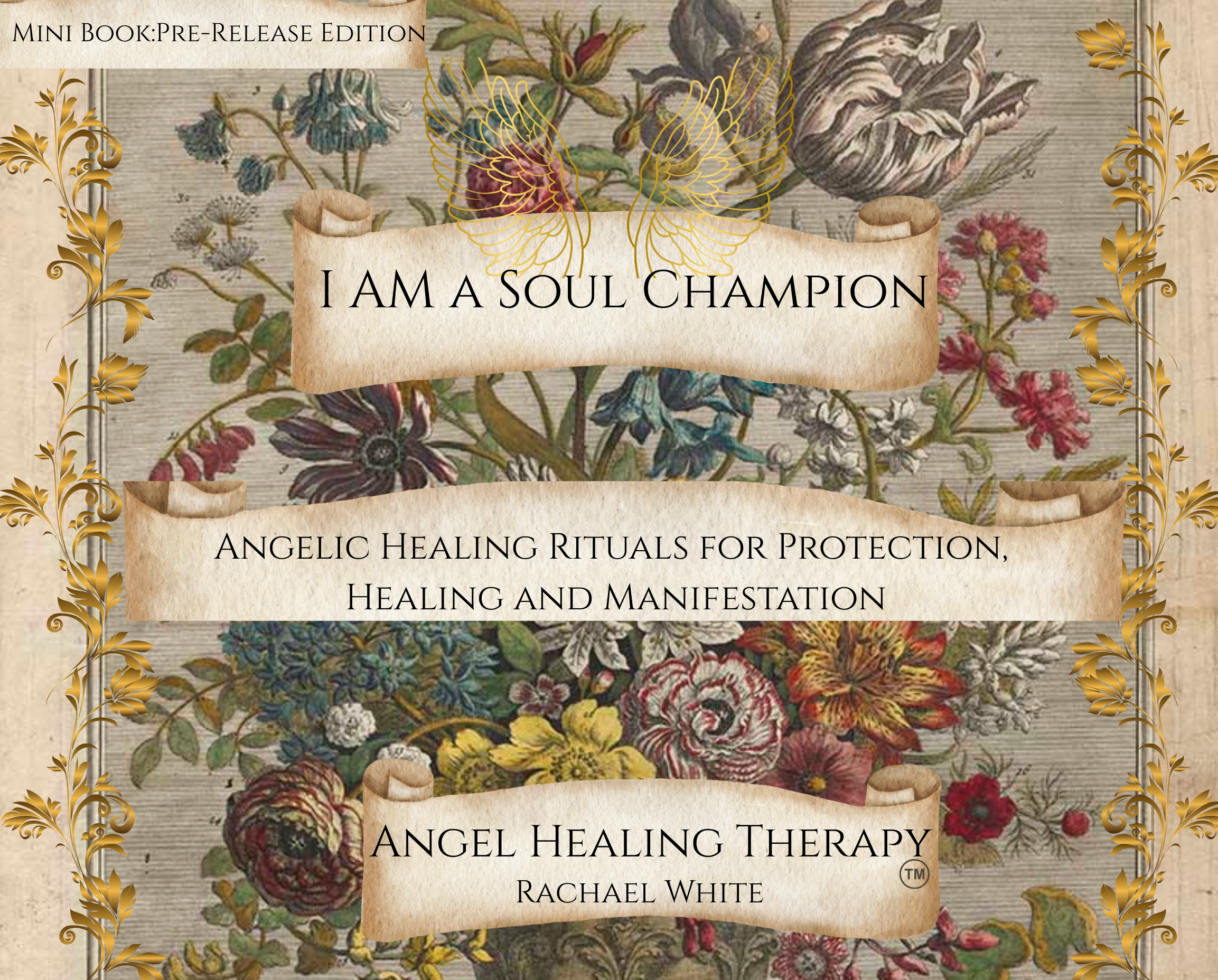 I Am a Soul Champion mini book by Rachael White
