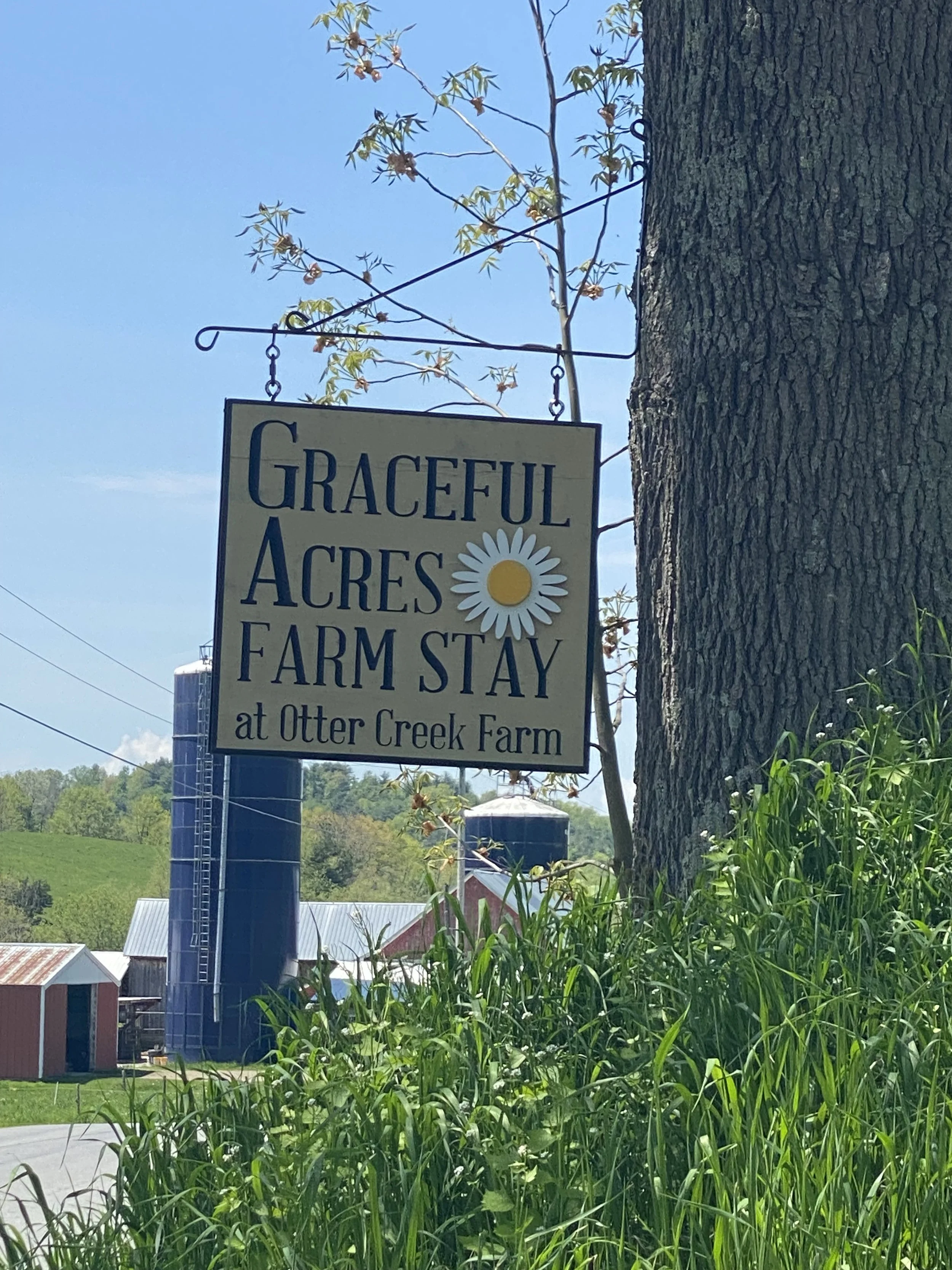 IMG_1351.jpeg