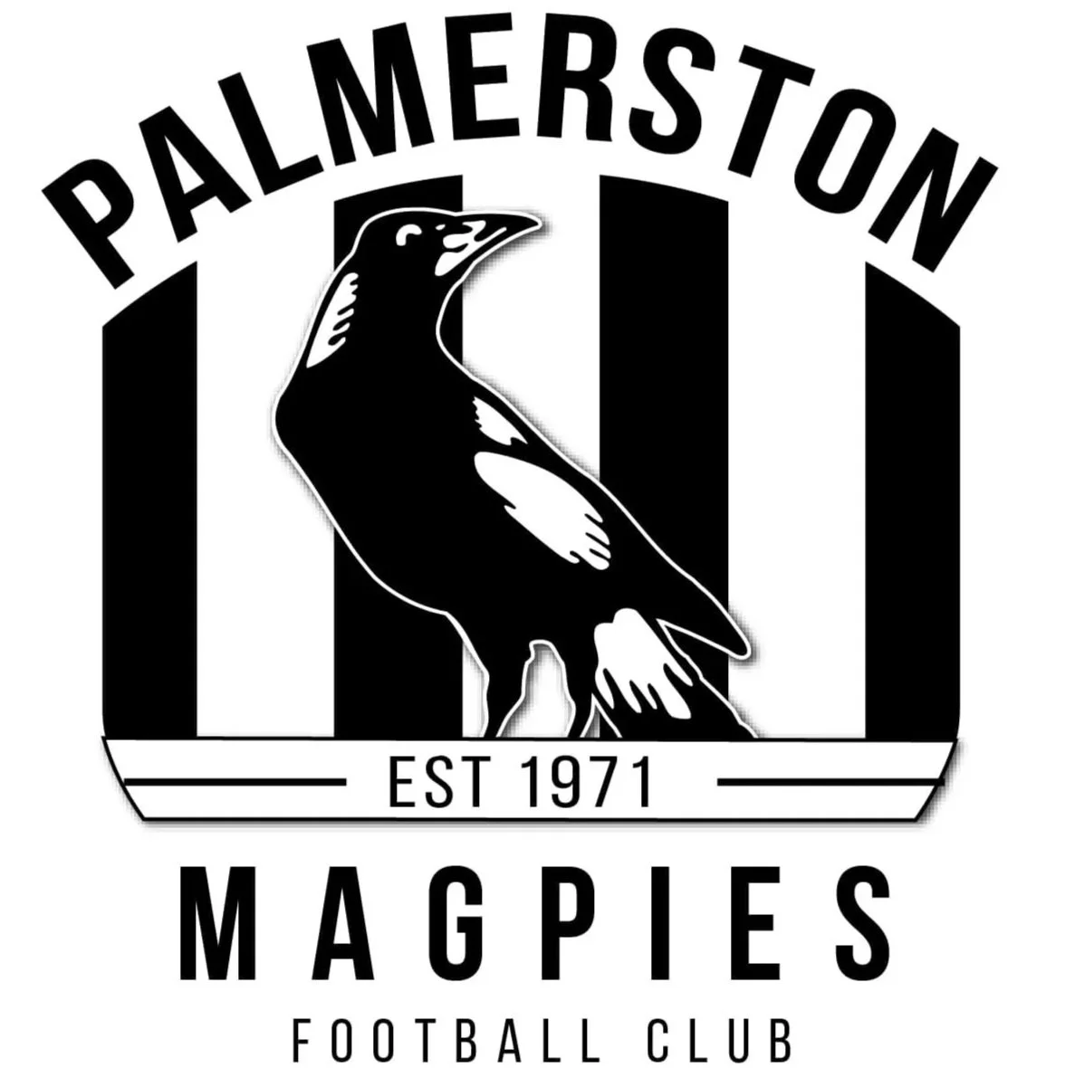 Palmerston Magpies