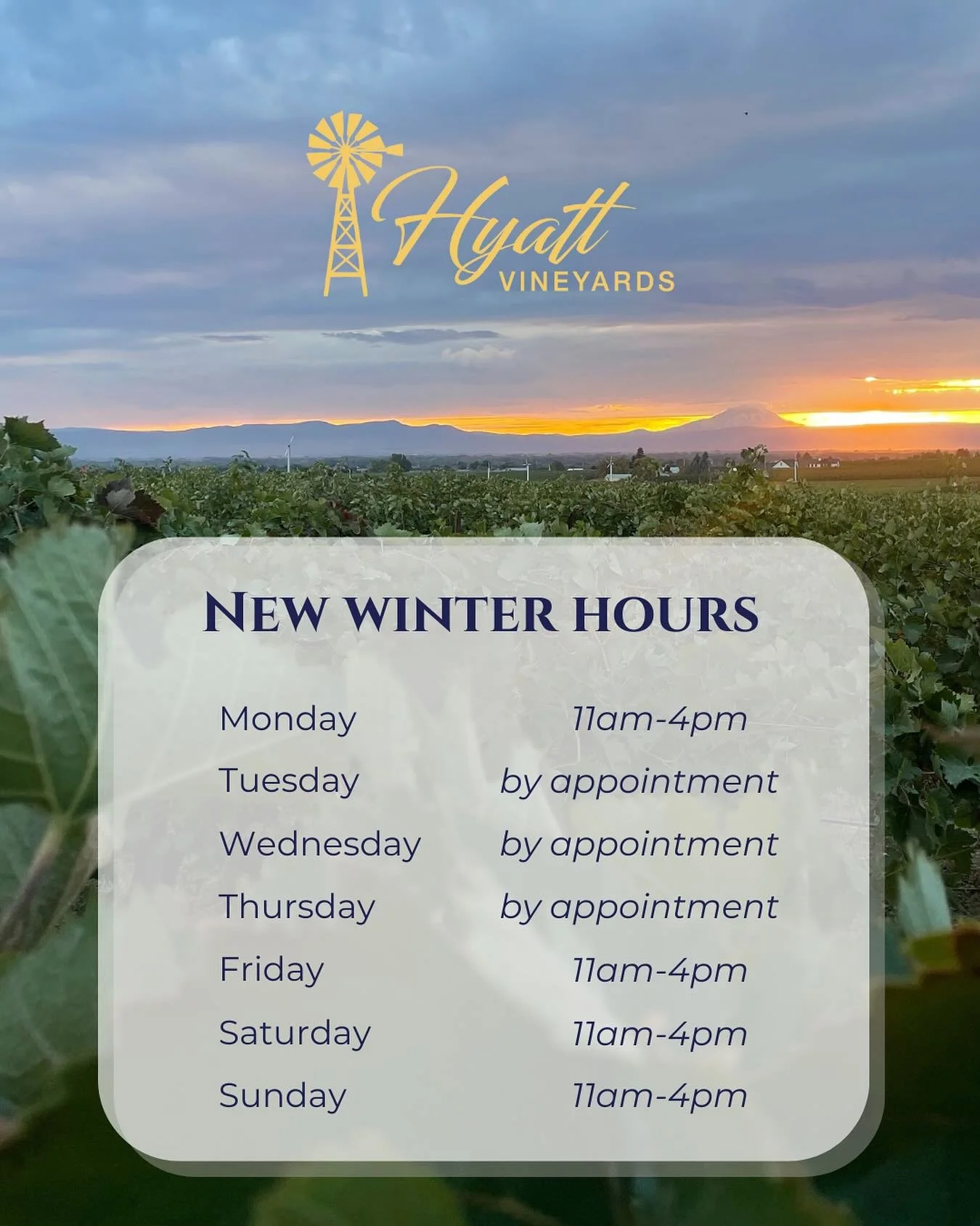 Winter hours are here! 

We are pouring Friday - Monday 11am-4pm (by appointment Tuesday-Thursday). Come warm up with a tasting and a view.

#winterhours #yakimawine #wedowine #washingtonwine