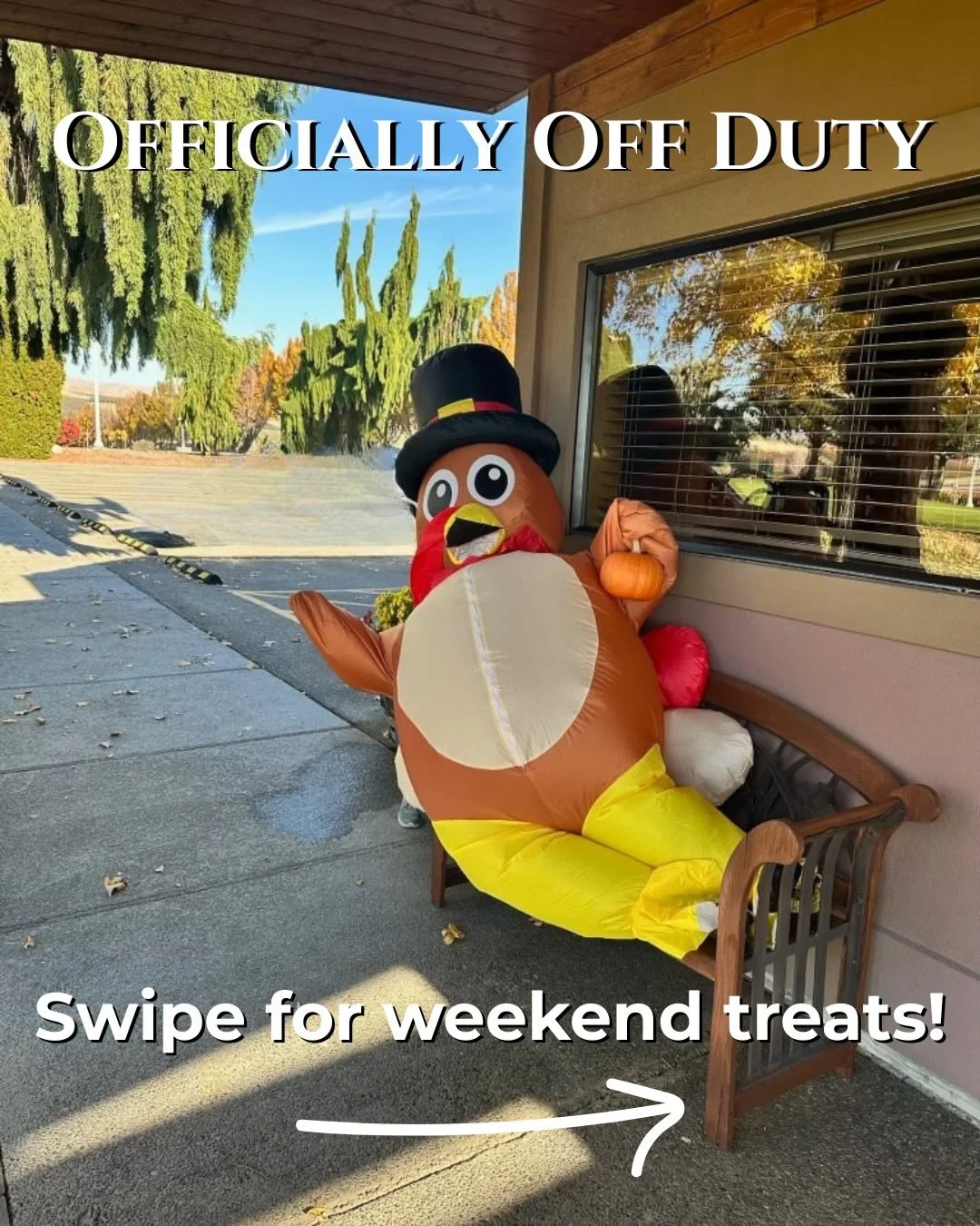 The turkey&rsquo;s taking a well-earned break...and you should too! 

Now that the big feast is behind us, join us at Hyatt this weekend and sip your way through our largest sale of the year, cozy mulled wine, and Christmas cookie tasting flights fro