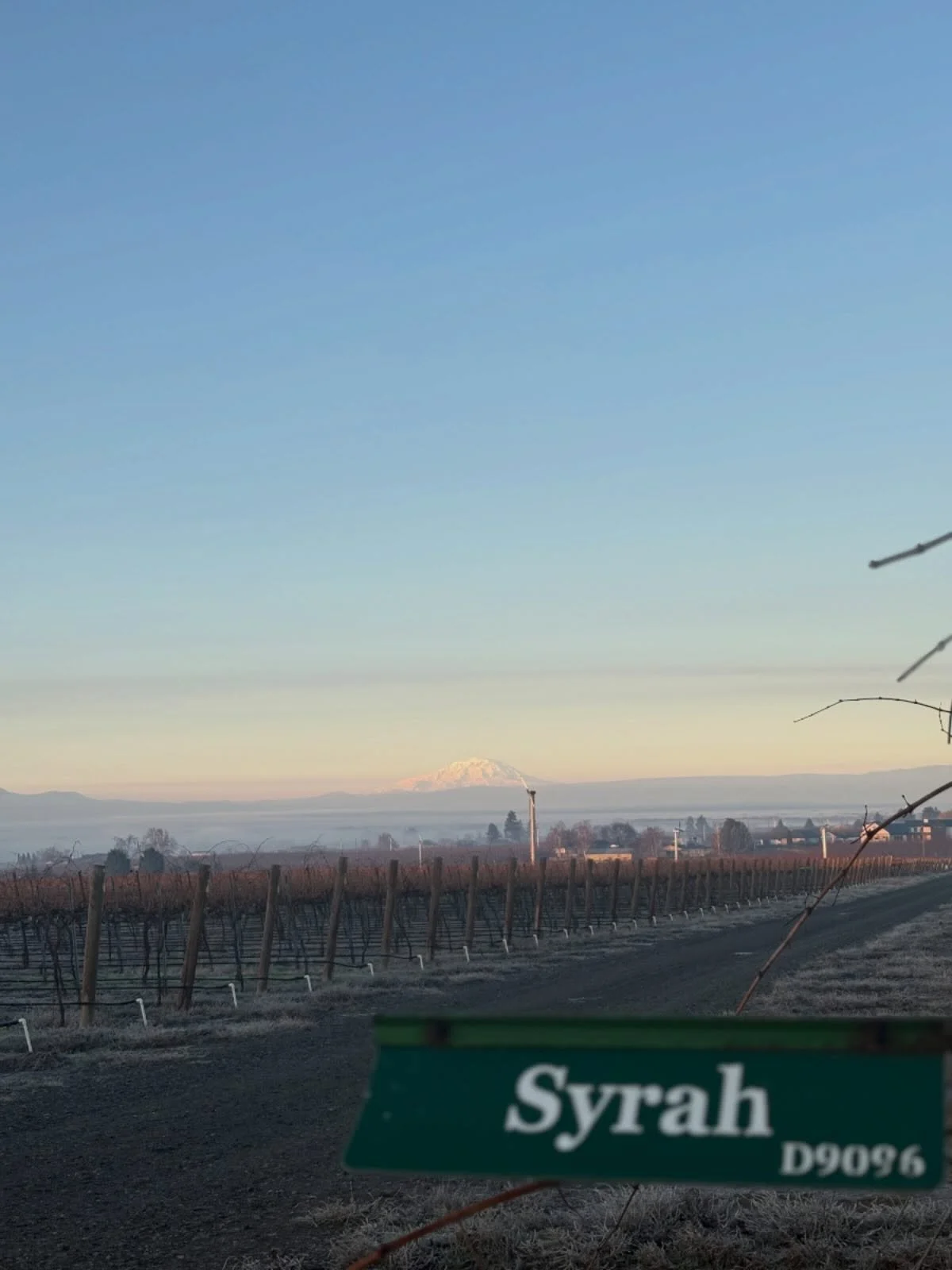 Dormant vines resting under a winter frost, an essential season in the vineyard. Even in winter, the vineyard is hard at work.

#dormant #winterinthevineyard #hyattvineyards #wedowine #wawine