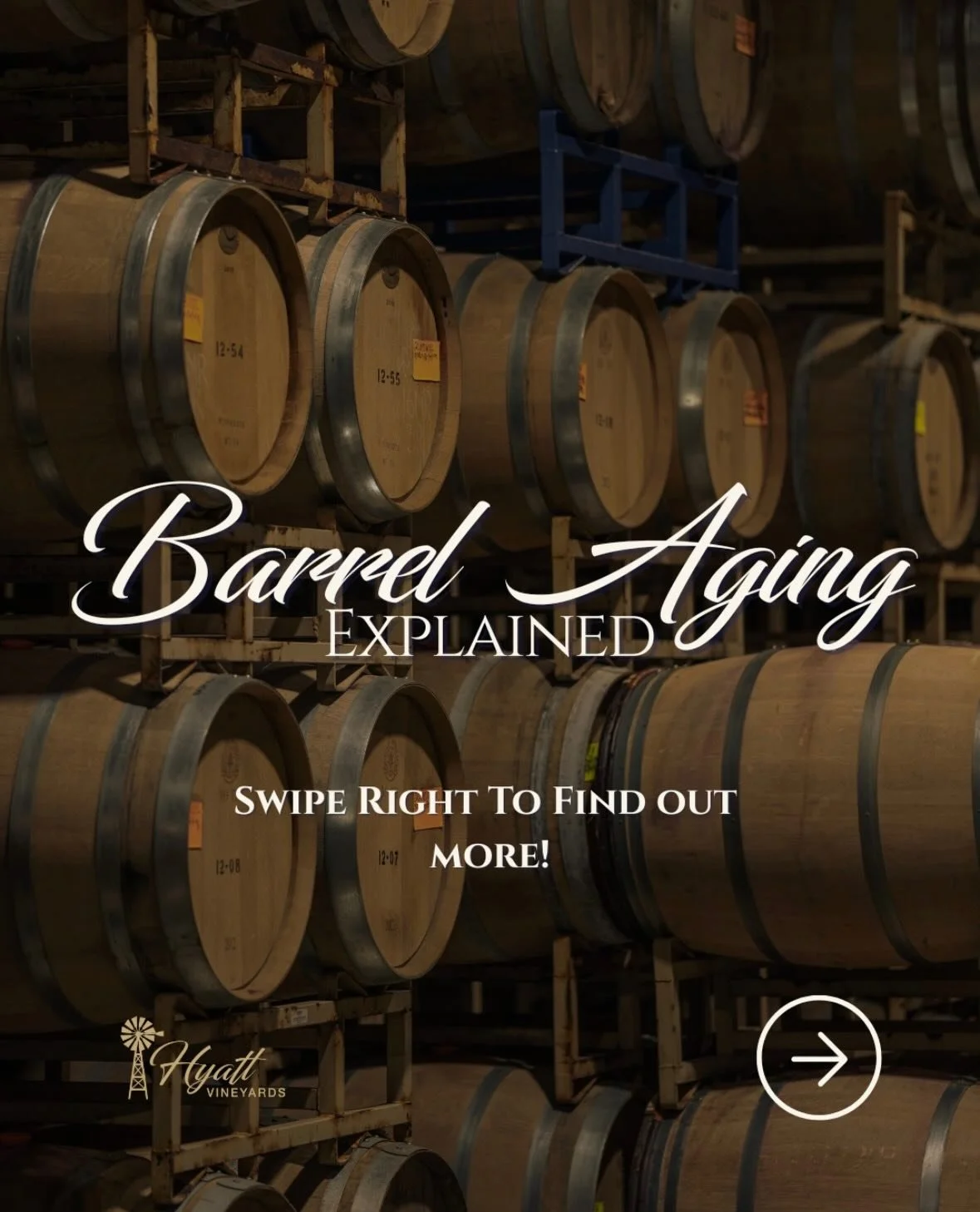 Wine doesn&rsquo;t become complex overnight.
Barrel aging adds depth, texture, and character one day at a time.

That hint of vanilla in your red? Now you know where it comes from.

#hyattvineyards #wawine #winebarrels #oakaging #wedowine