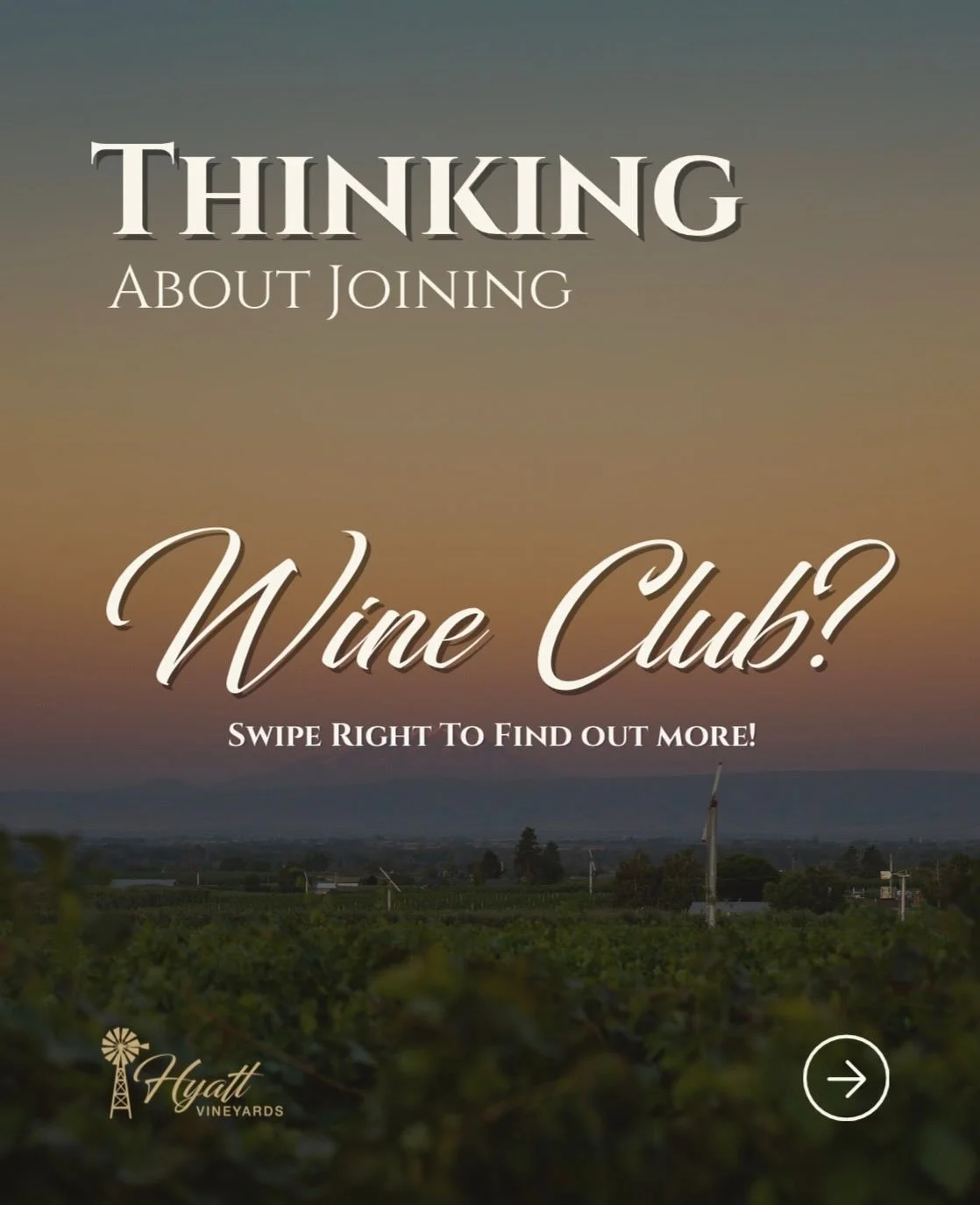 Thinking about joining the Hyatt Vineyards Wine Club?

Enjoy exclusive access to limited-production wines, member-only benefits, seasonal events, and special pricing on every purchase. Choose between our Windmill Club or Estate Club and experience th