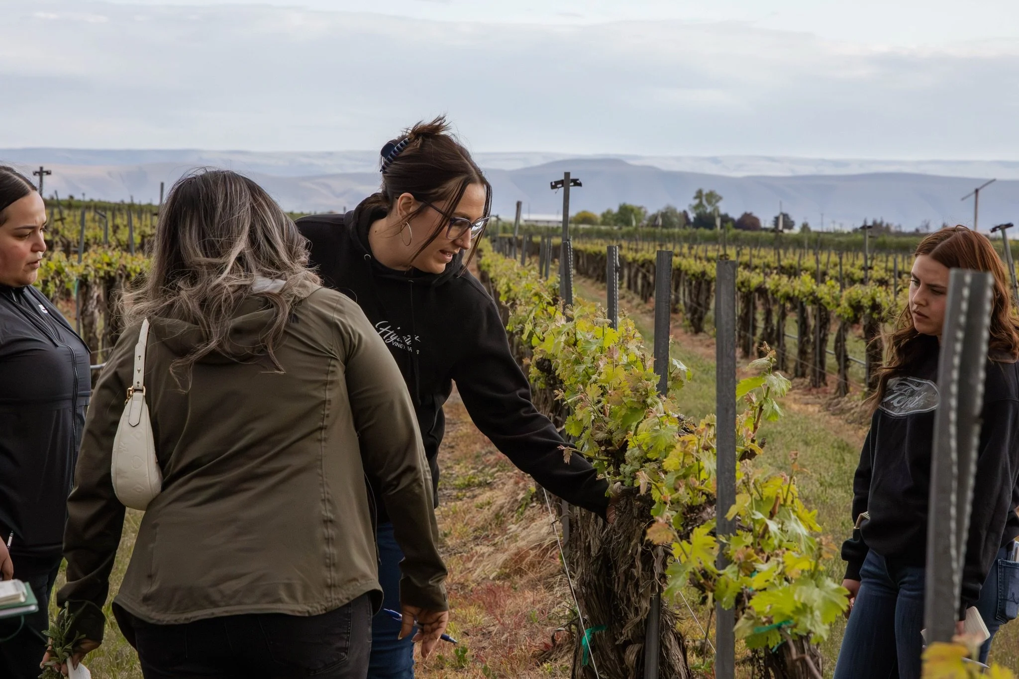 Last Monday we had the opportunity to host students from Yakima Valley College&rsquo;s BASAG program here at Hyatt Vineyards.

Students got a behind-the-scenes look at how we approach Integrated Pest Management, along with a deeper dive into our vine
