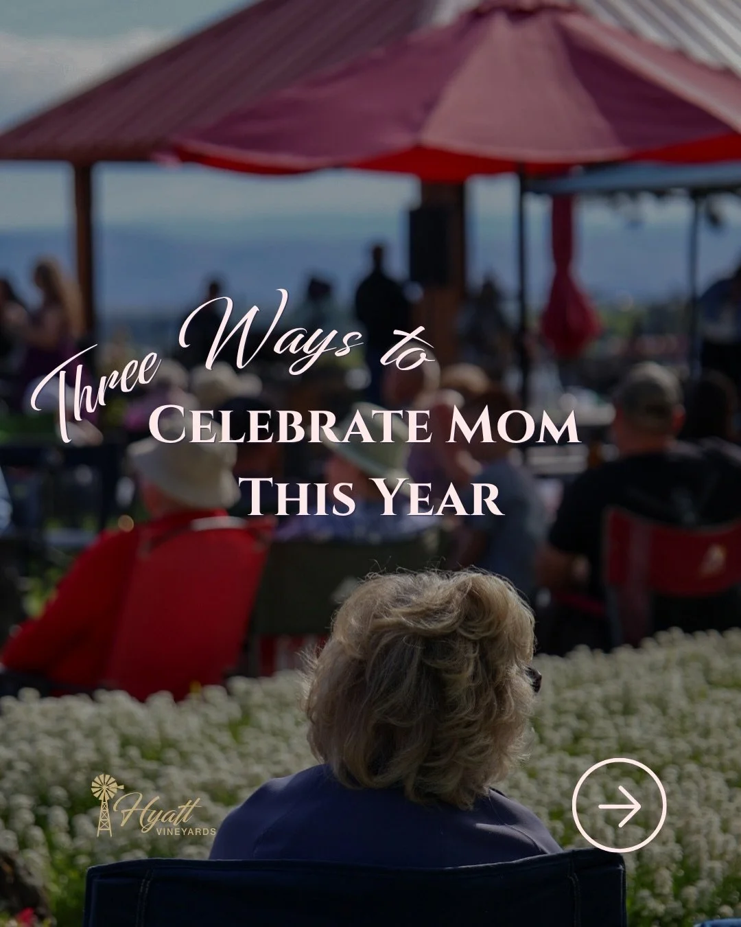 Celebrate Mother&rsquo;s Day at Hyatt Vineyards this May 10.

Enjoy half price ros&eacute; glasses, half price froz&eacute; glasses, and $100 cases of vintage Lynda&rsquo;s Riesling and Black Muscat.

Bring the family, relax on the lawn, and spend th