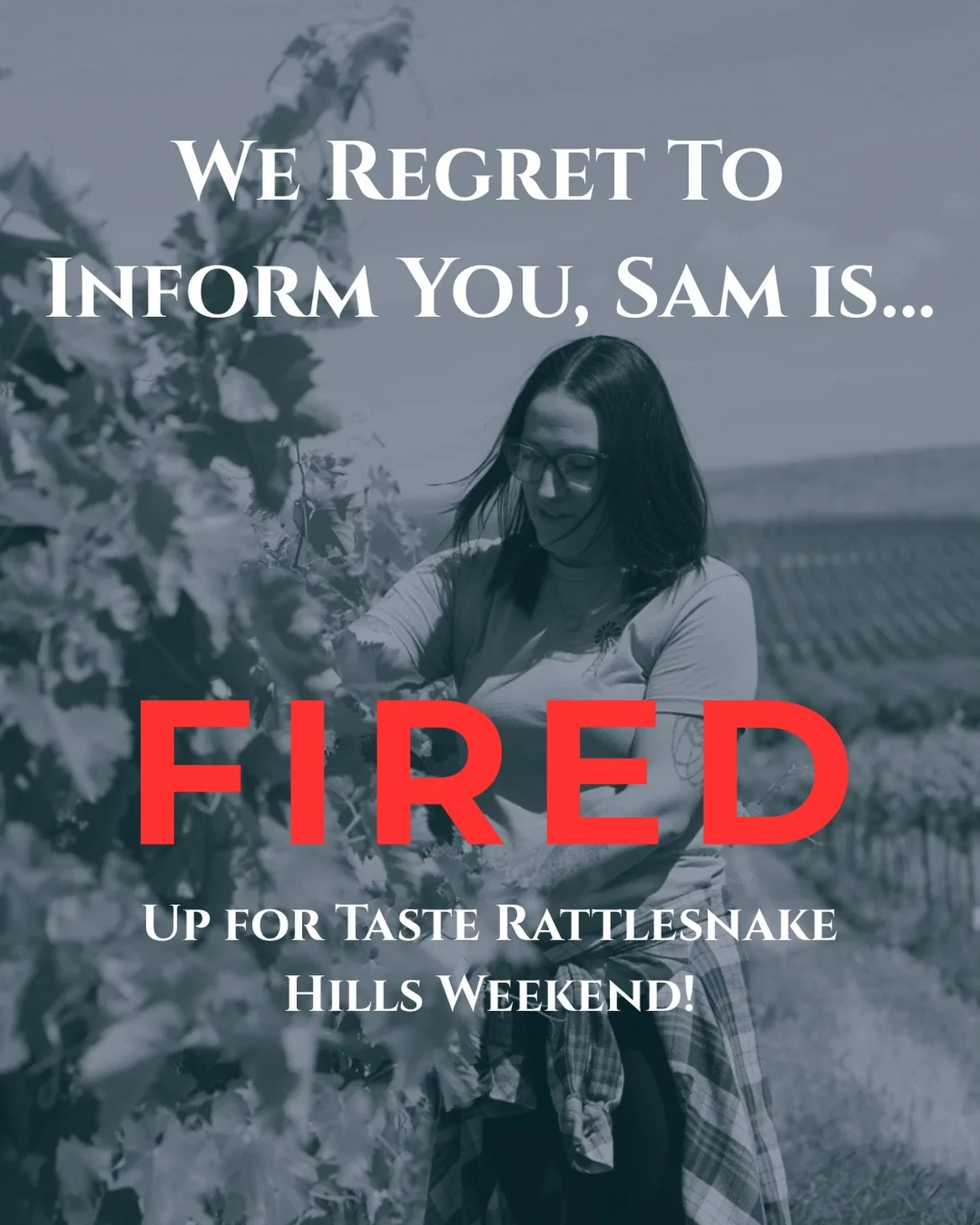 Well, you heard it here first...

Sam is fired up for Taste Rattlesnake Hills Weekend!

Join us for Taste Rattlesnake Hills this weekend and experience the best of the Rattlesnake Hills AVA through exceptional wines, curated food pairings, and unforg